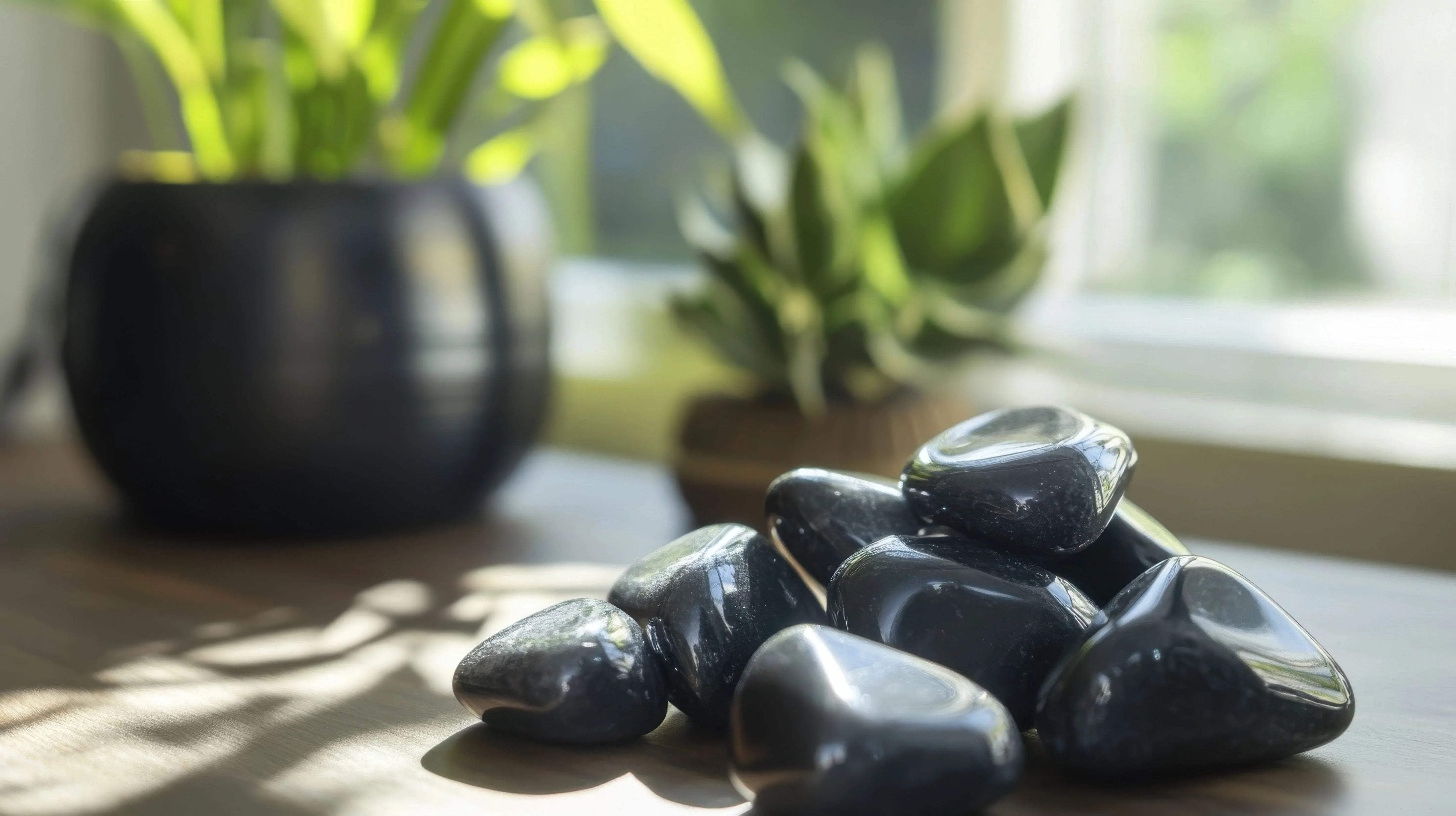 Shungite - Mooncat Crystals