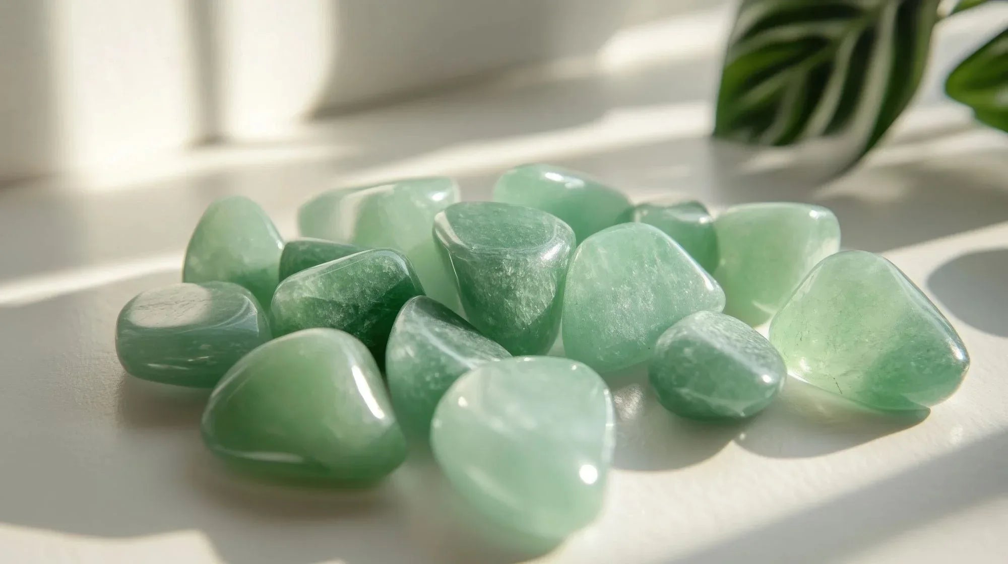 Green Aventurine - Mooncat Crystals