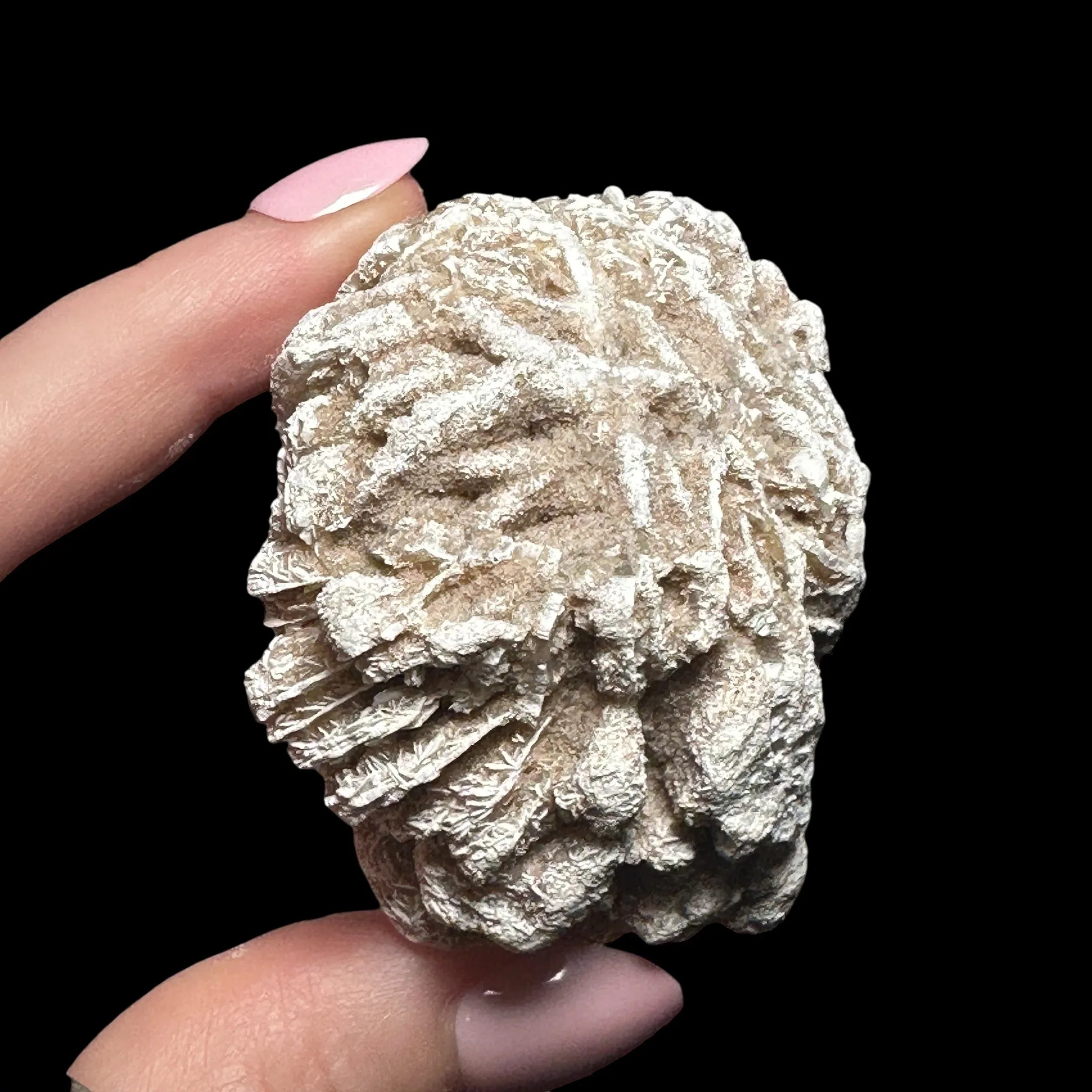 Desert Rose Selenite | Stock A - Mooncat Crystals