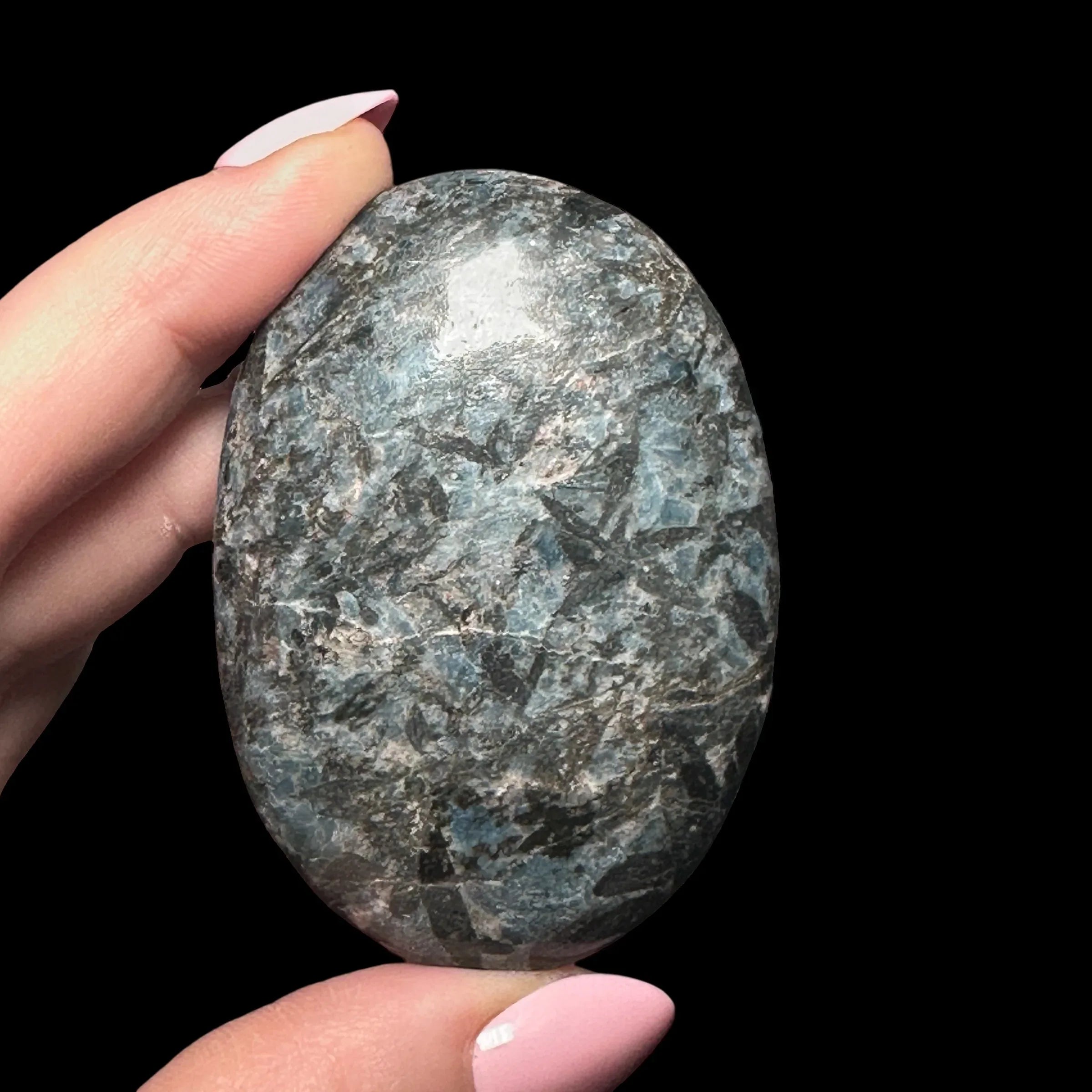 Blue and Black Kyanite Palm Stone - Mooncat Crystals