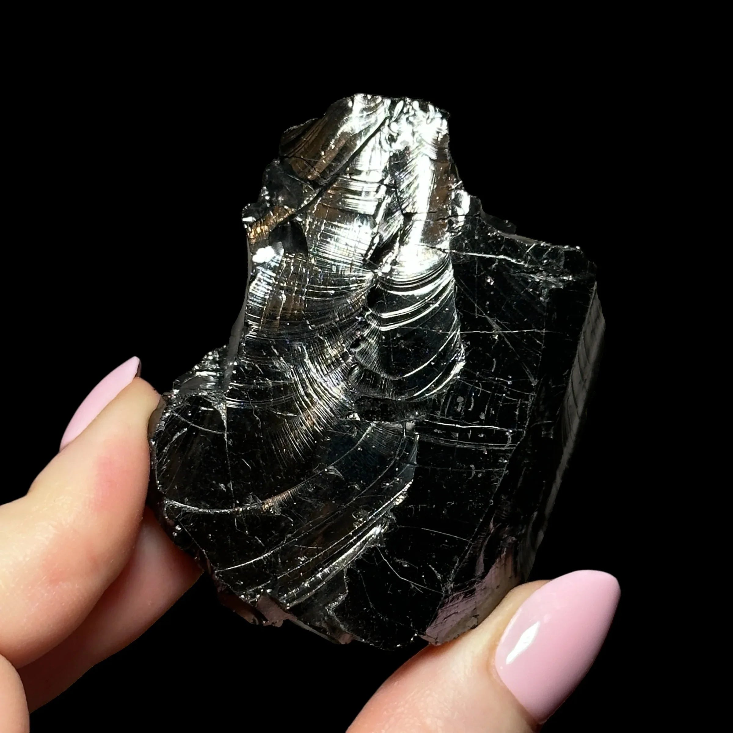 Raw Elite Shungite - Mooncat Crystals