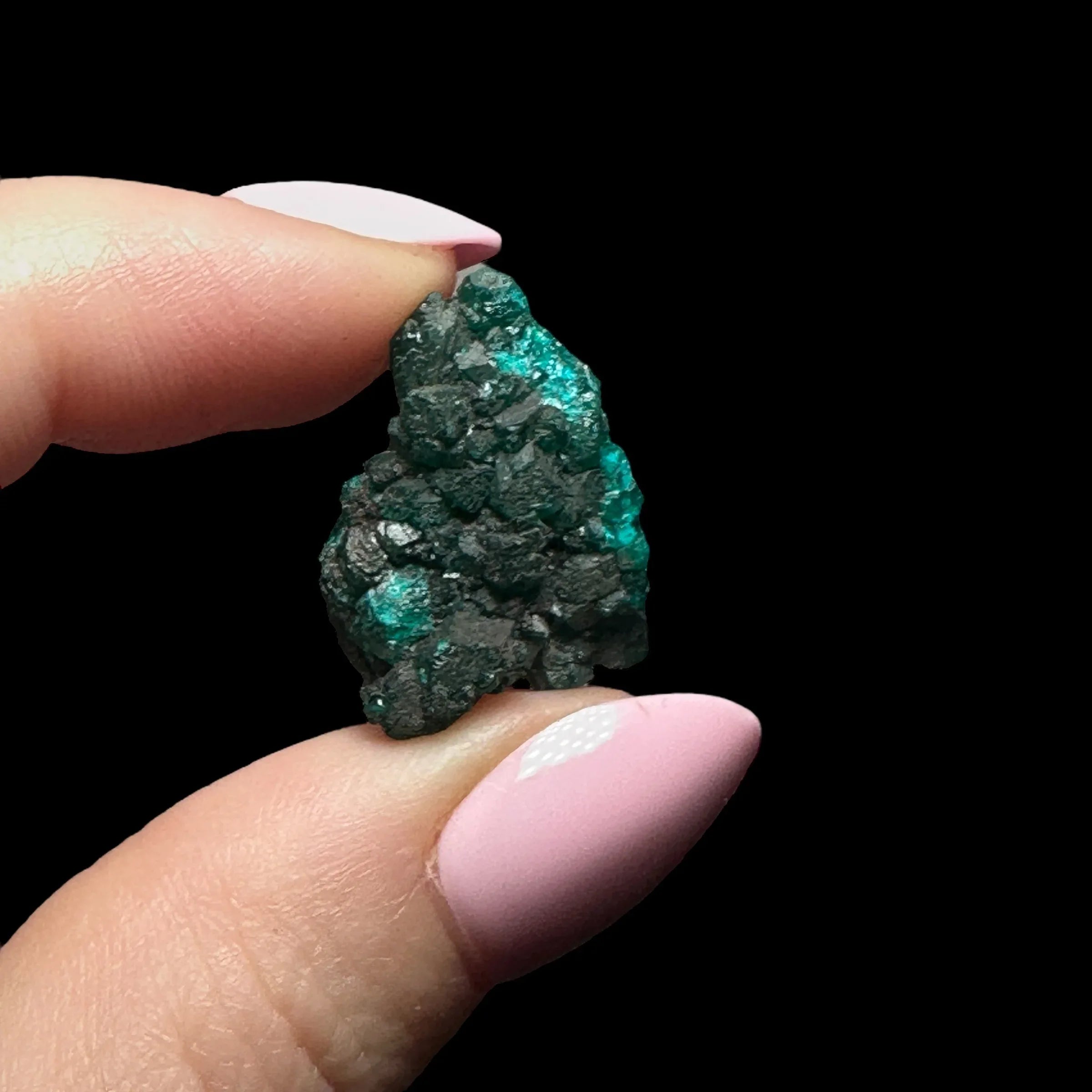 Dioptase | Stock B - Mooncat Crystals