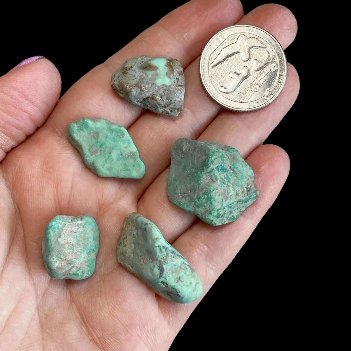 PROTECTING + SOOTHING:: Mexican Turquoise Lot | ~20 grams
