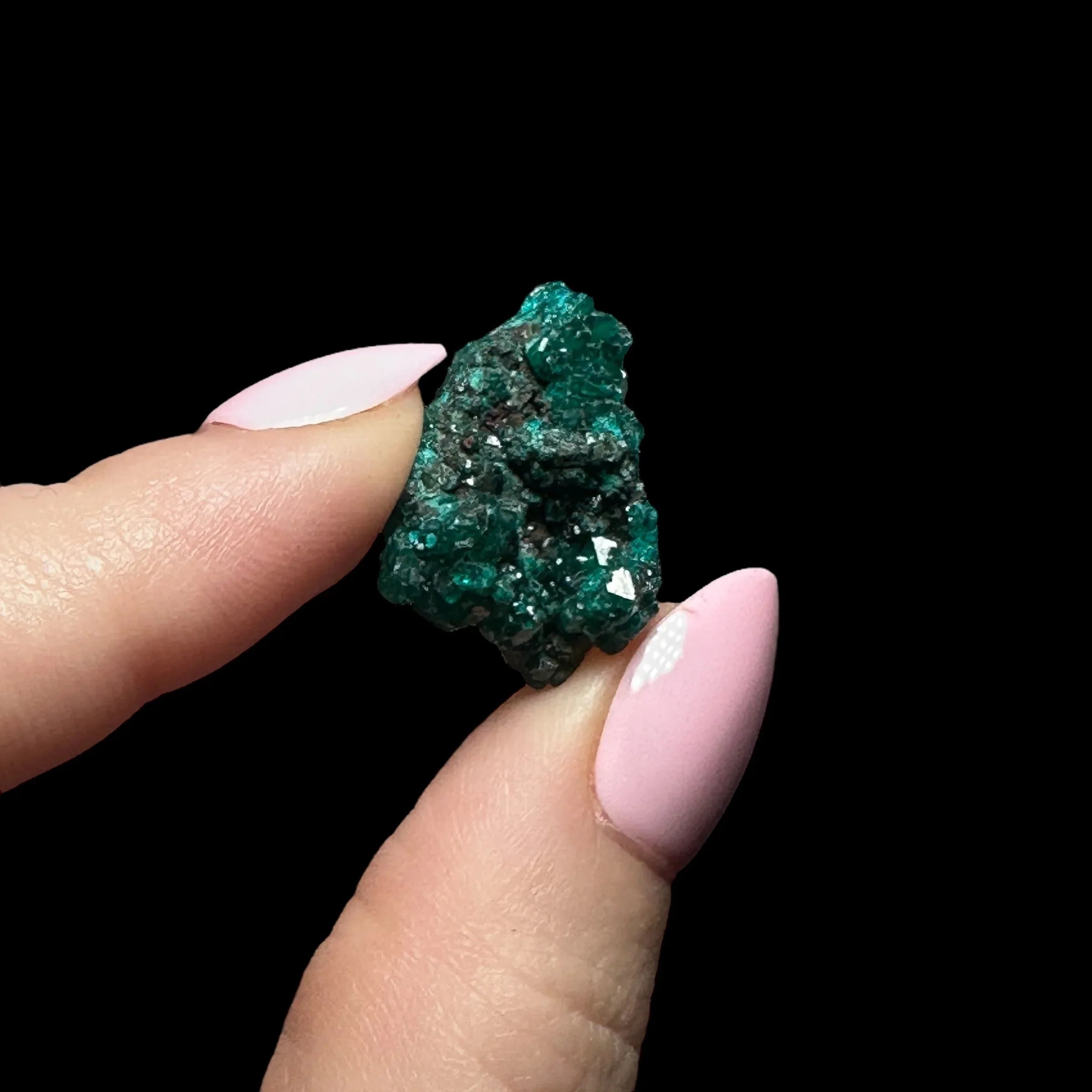 Dioptase | Stock B - Mooncat Crystals