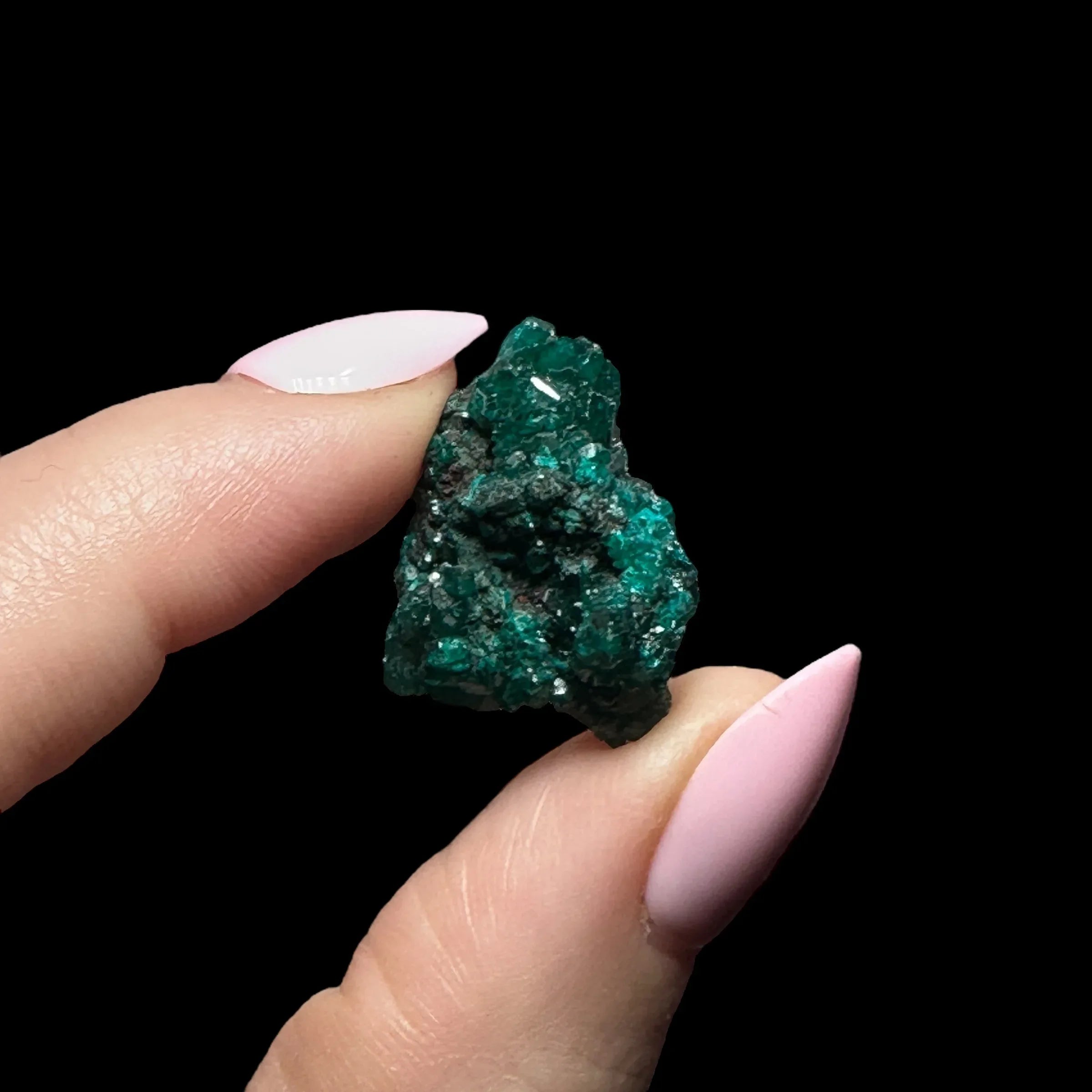 Dioptase | Stock B - Mooncat Crystals