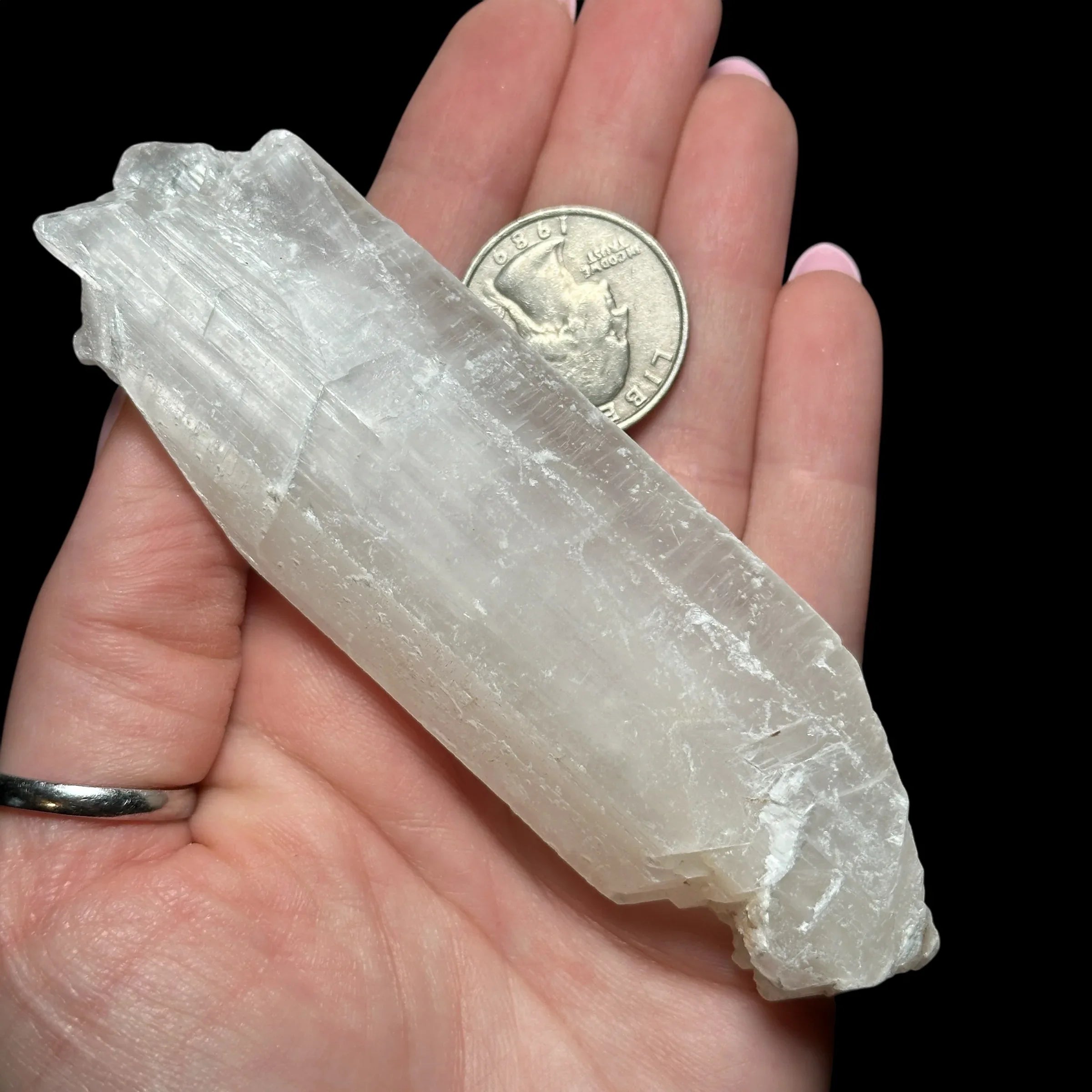 Mexican Selenite Blade | Stock B - Mooncat Crystals