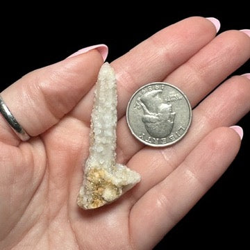 "Witch Finger" White Spirit Quartz - Mooncat Crystals