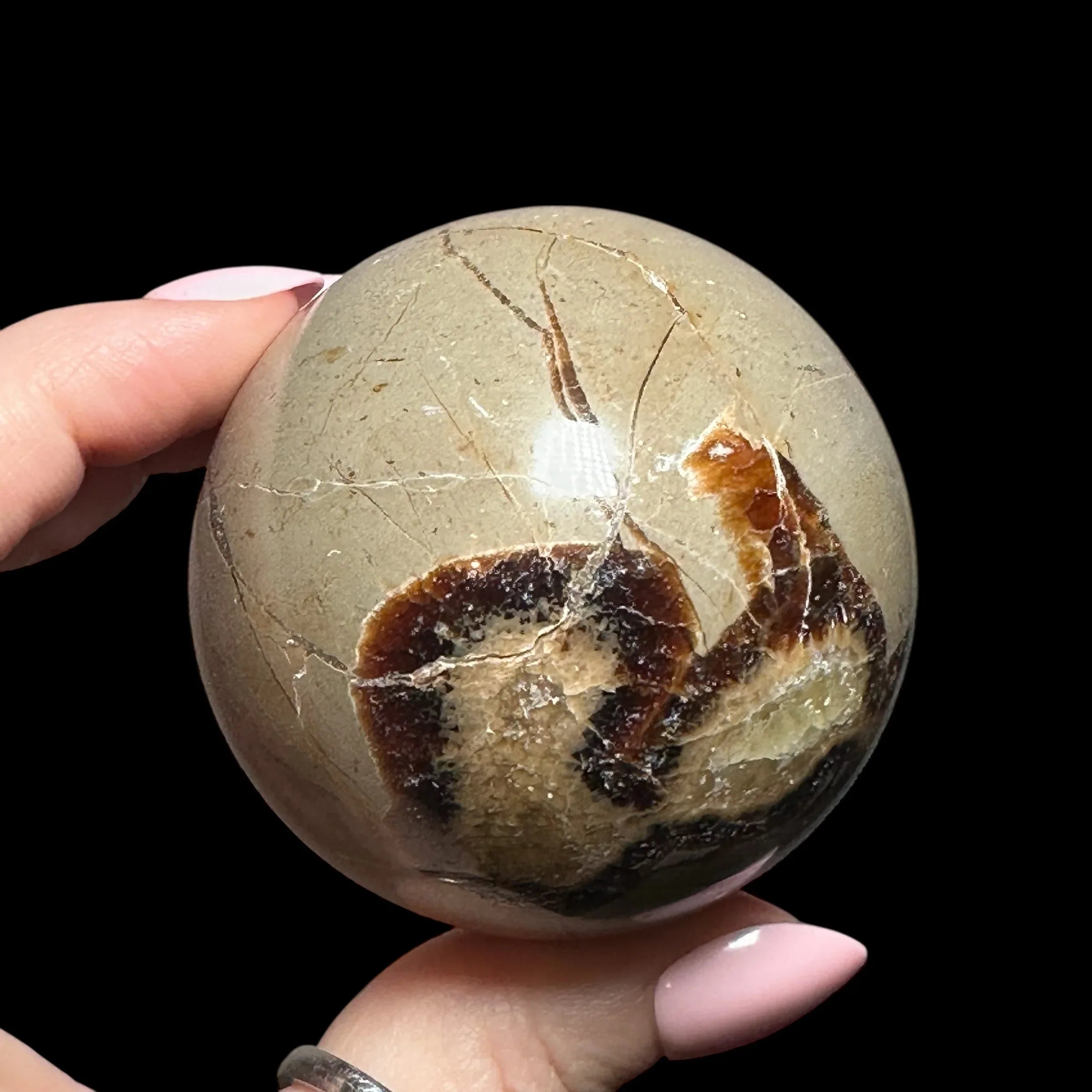 Septarian Sphere - Mooncat Crystals