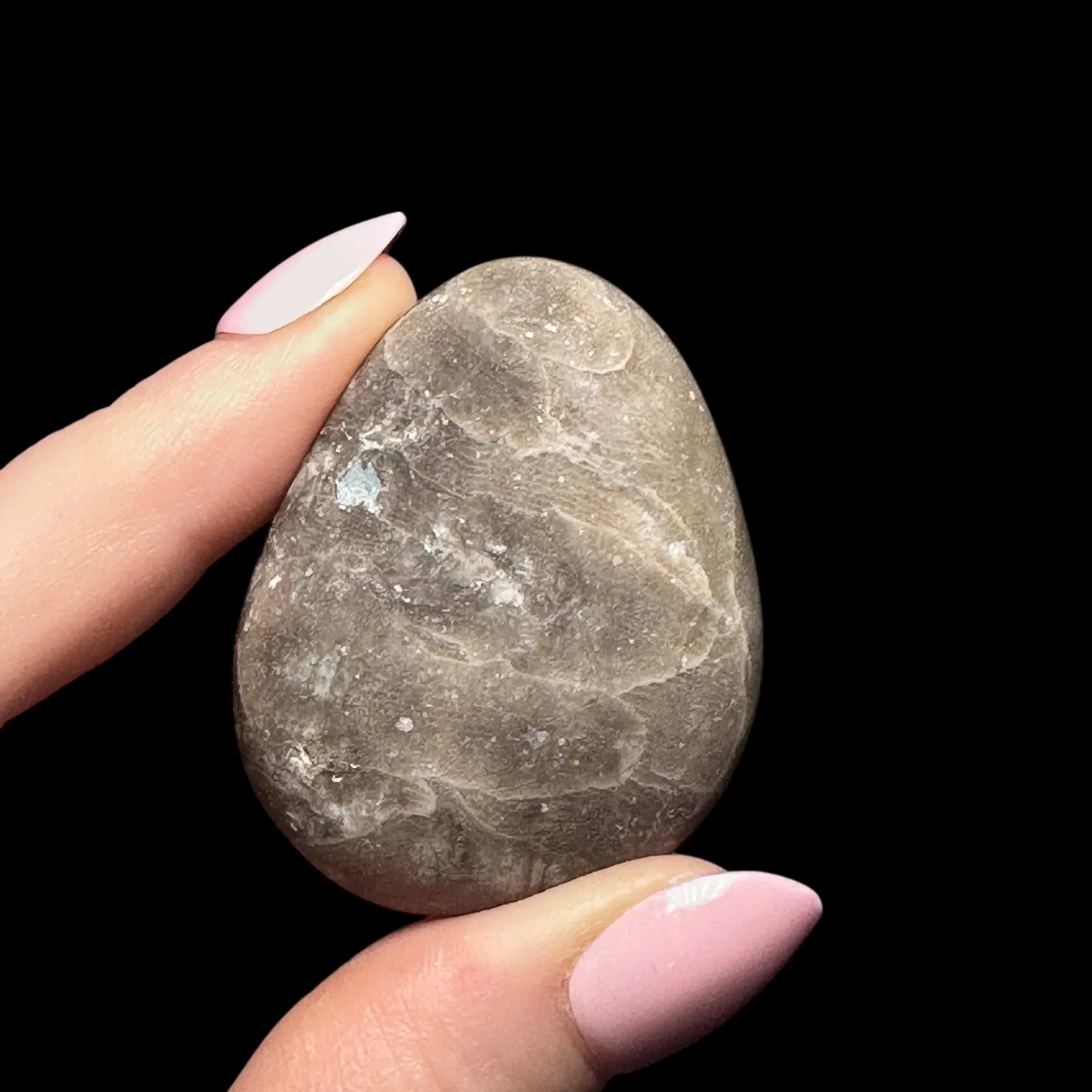 Petoskey Stone Palm Stone | Stock B - Mooncat Crystals