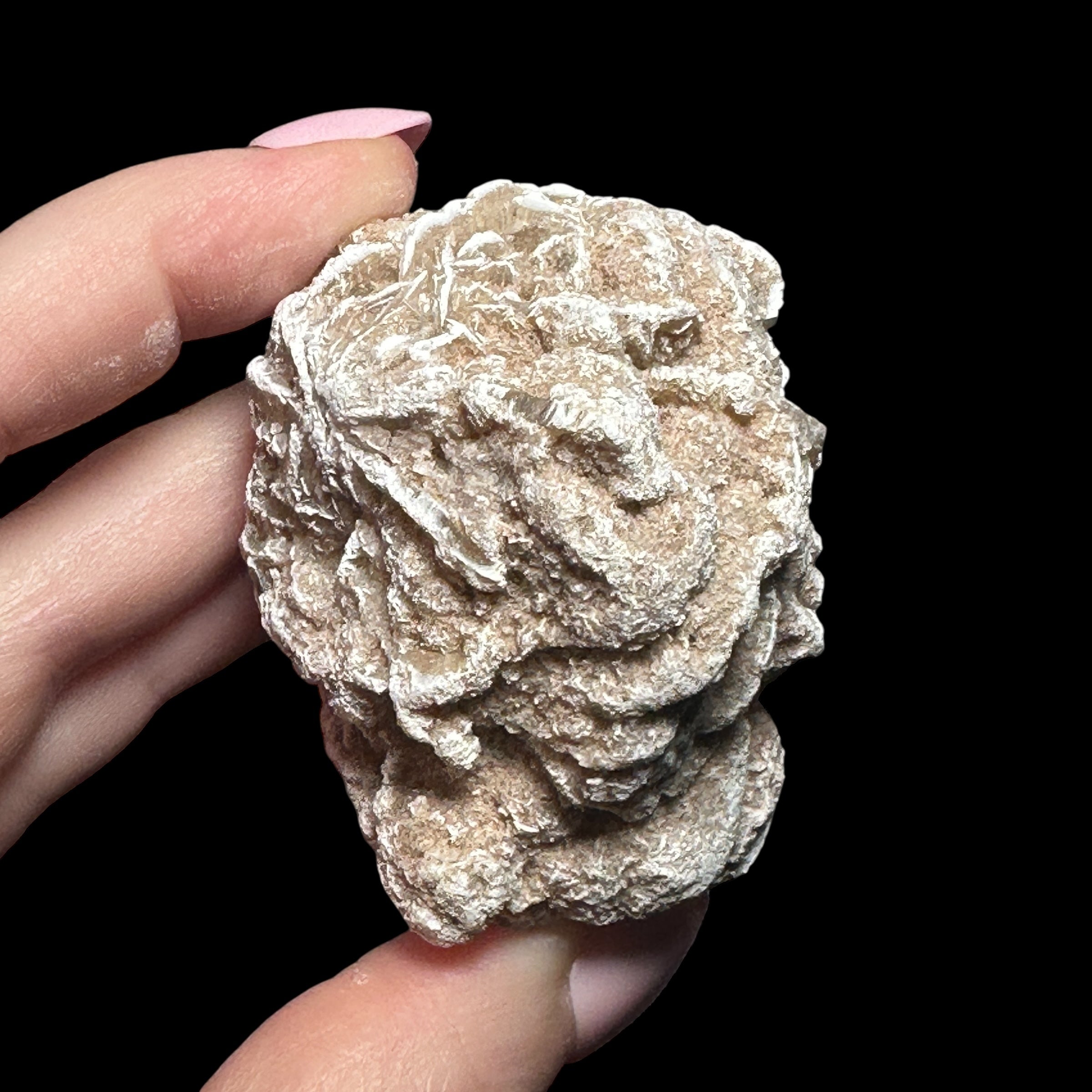 Desert Rose Selenite | Stock A