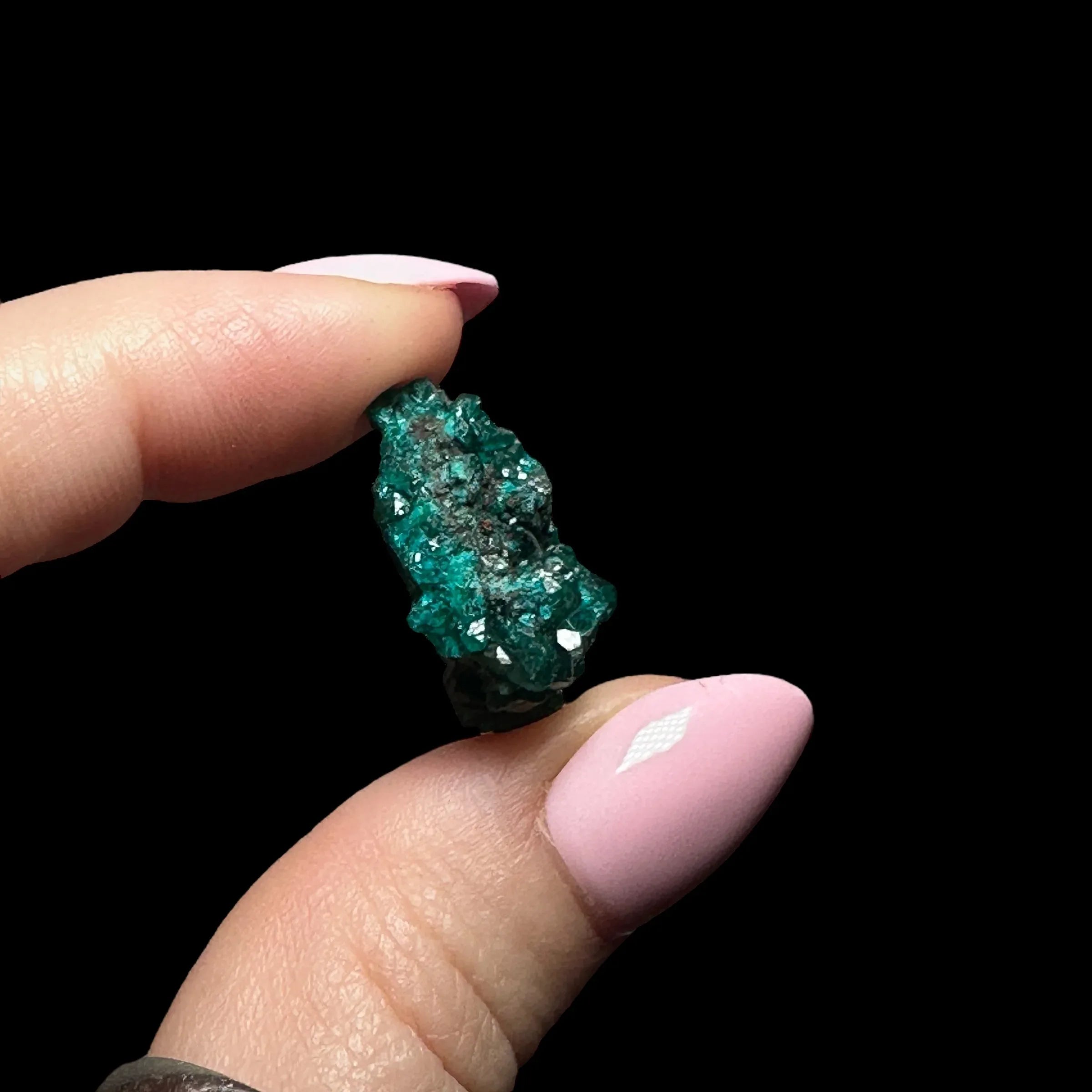 Dioptase | Stock B - Mooncat Crystals