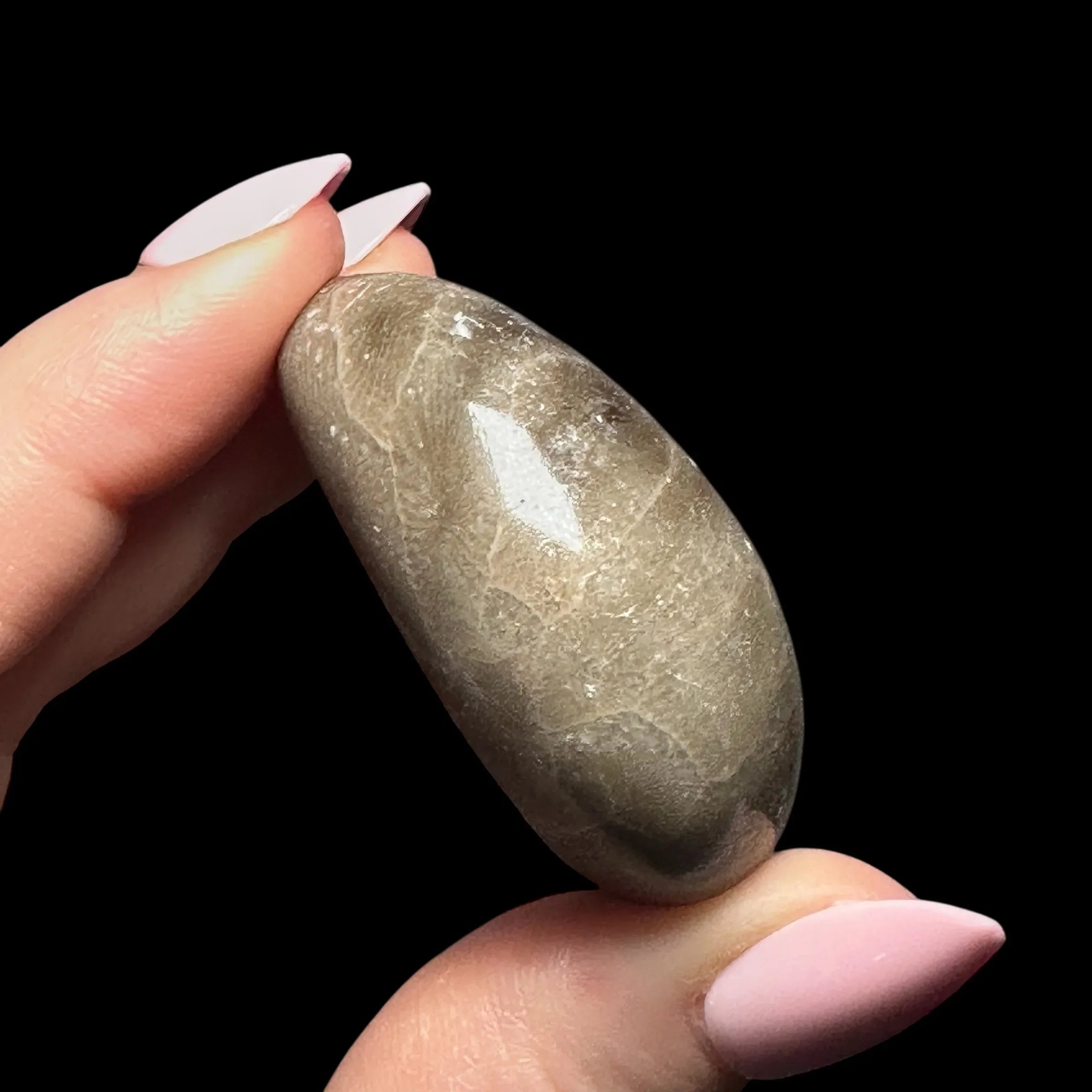 Petoskey Stone Palm Stone | Stock B - Mooncat Crystals