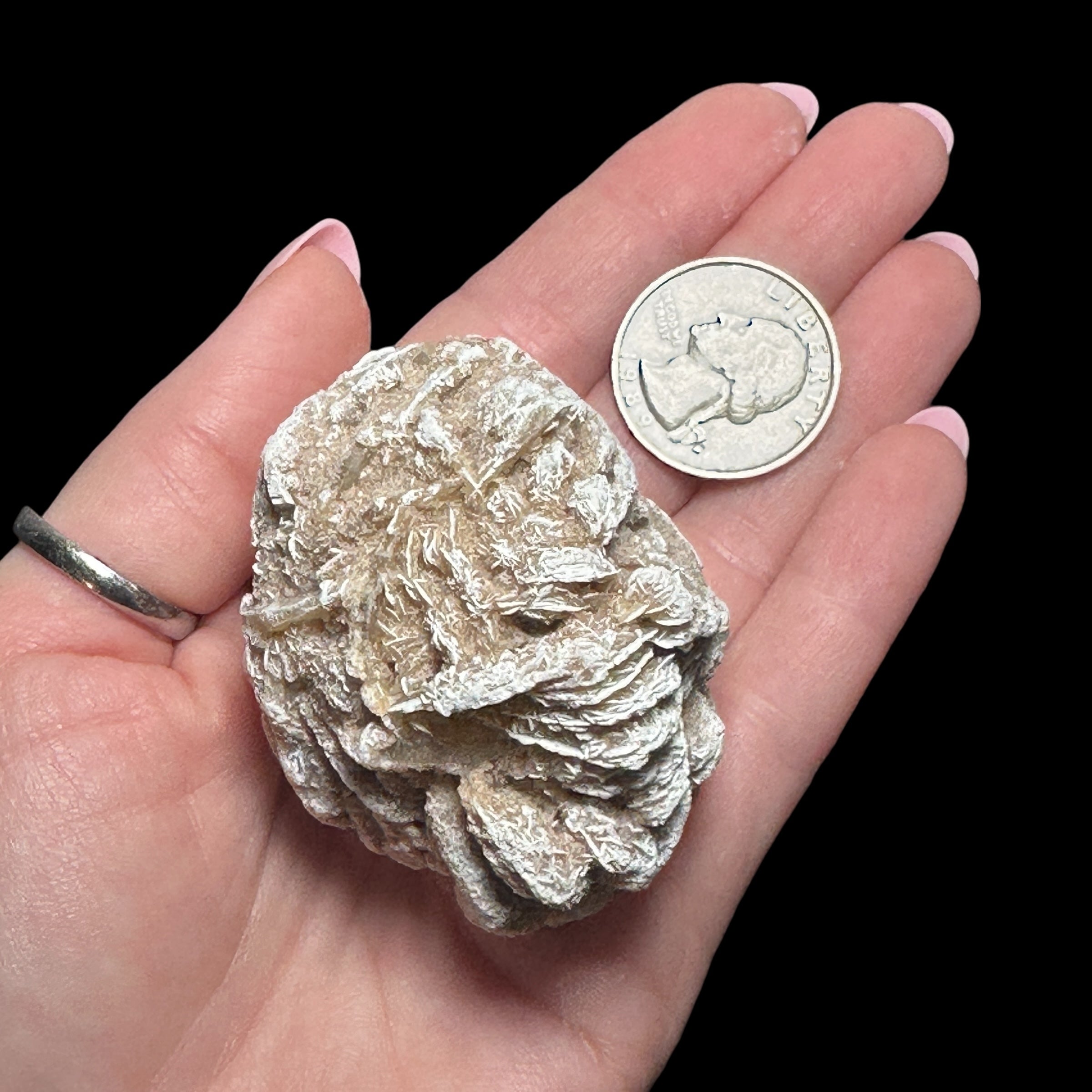 Desert Rose Selenite | Stock A