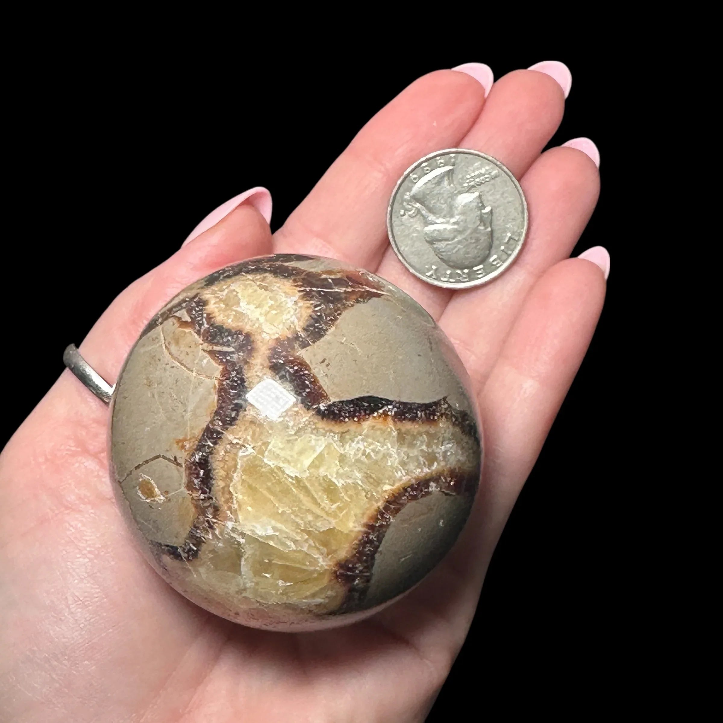 Septarian Sphere - Mooncat Crystals
