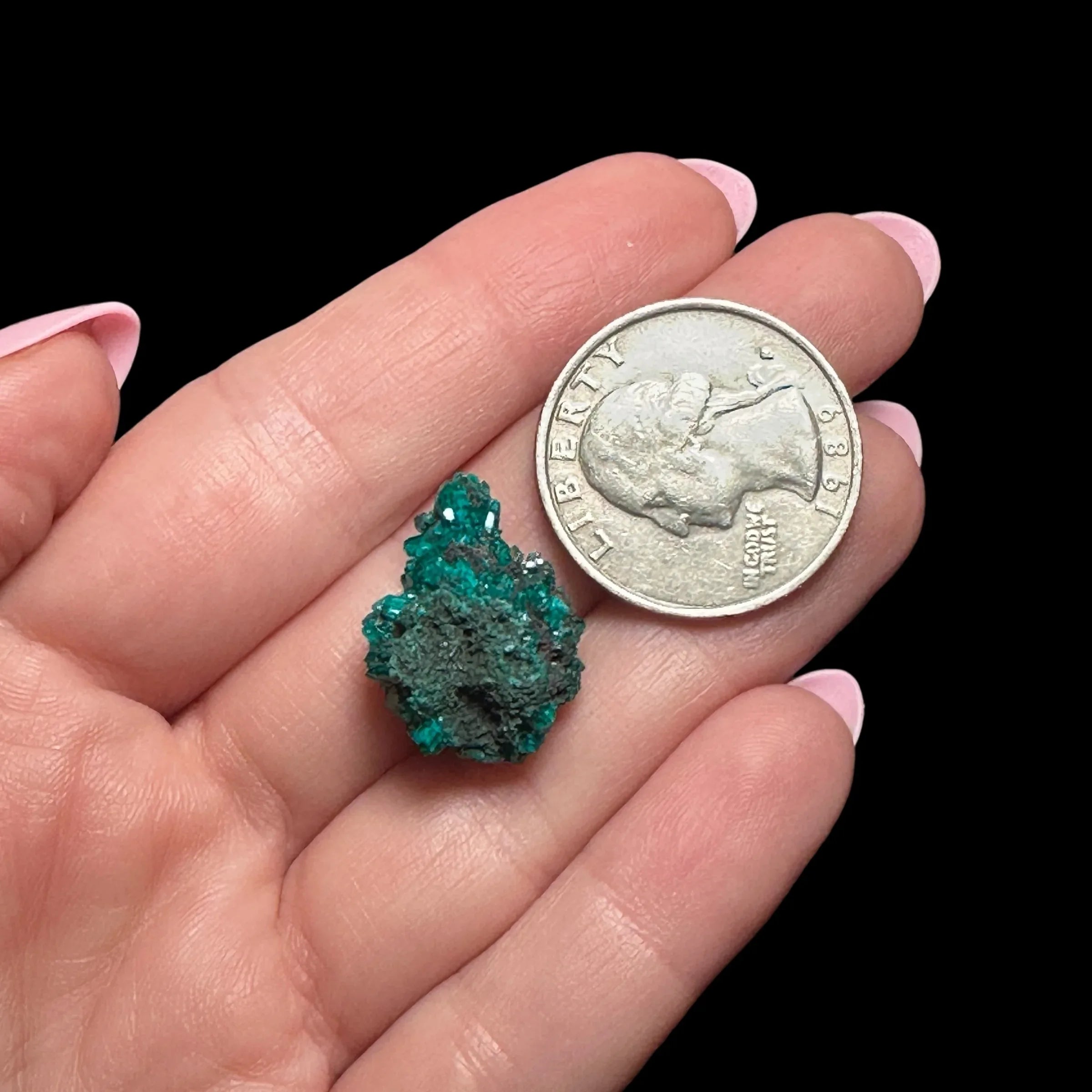 Dioptase | Stock C - Mooncat Crystals