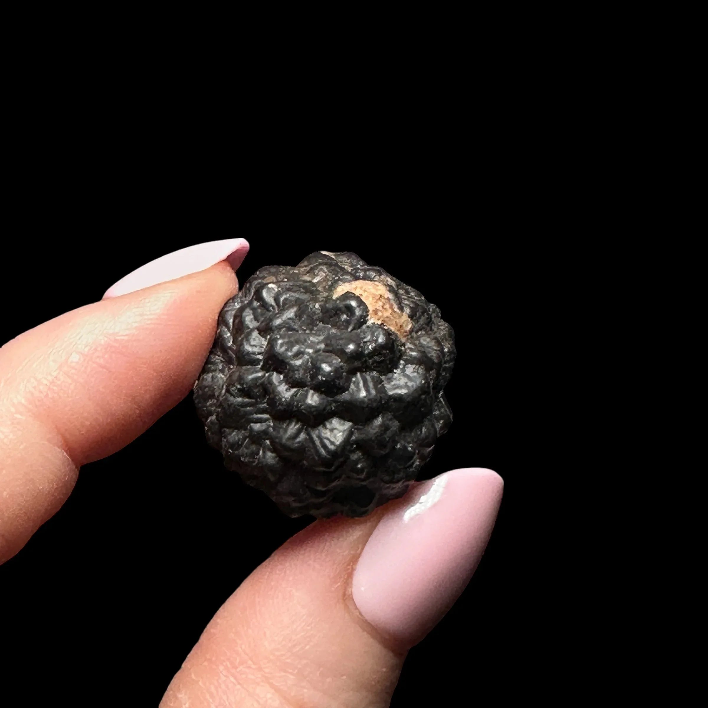 Prophecy Stone - Mooncat Crystals