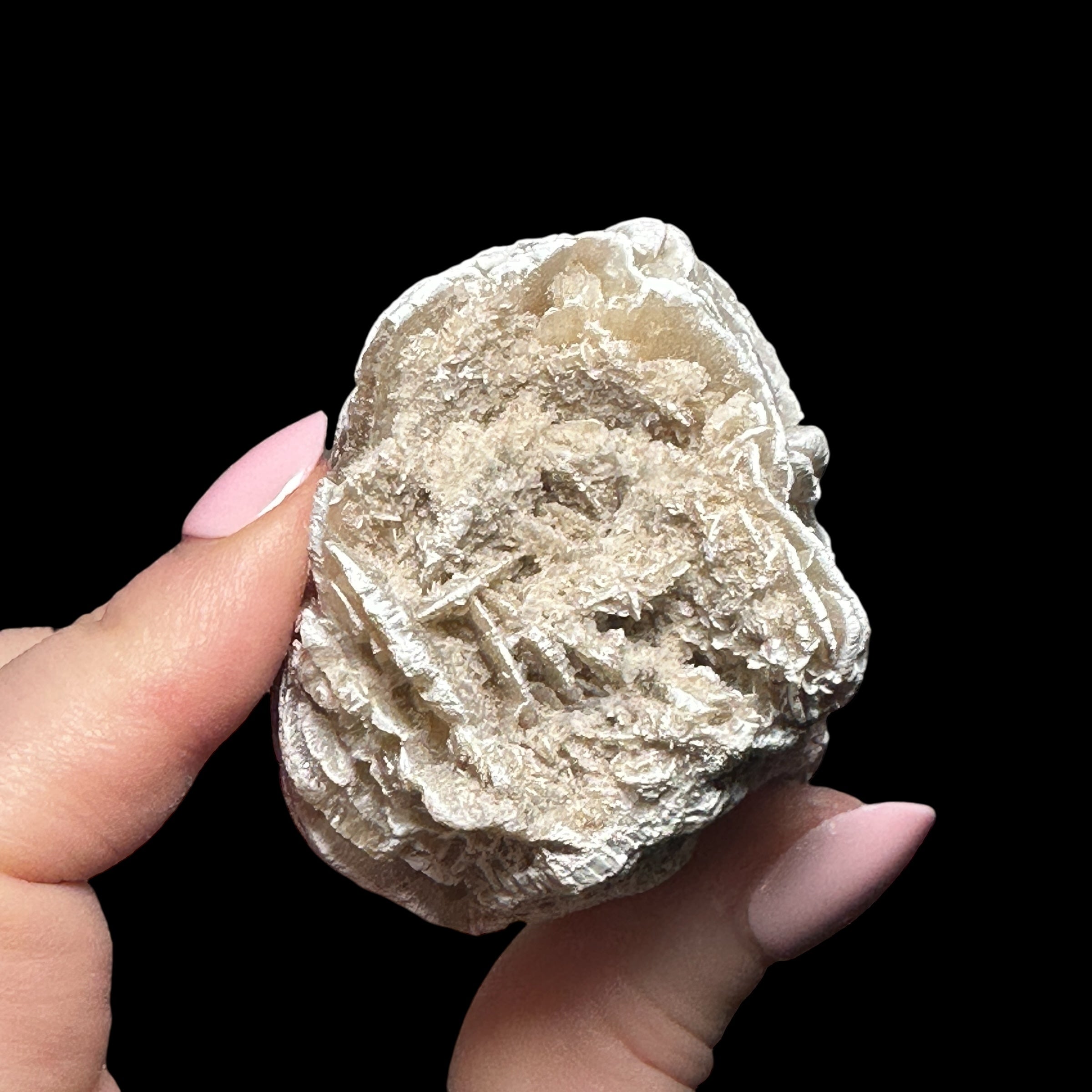 Desert Rose Selenite | Stock B