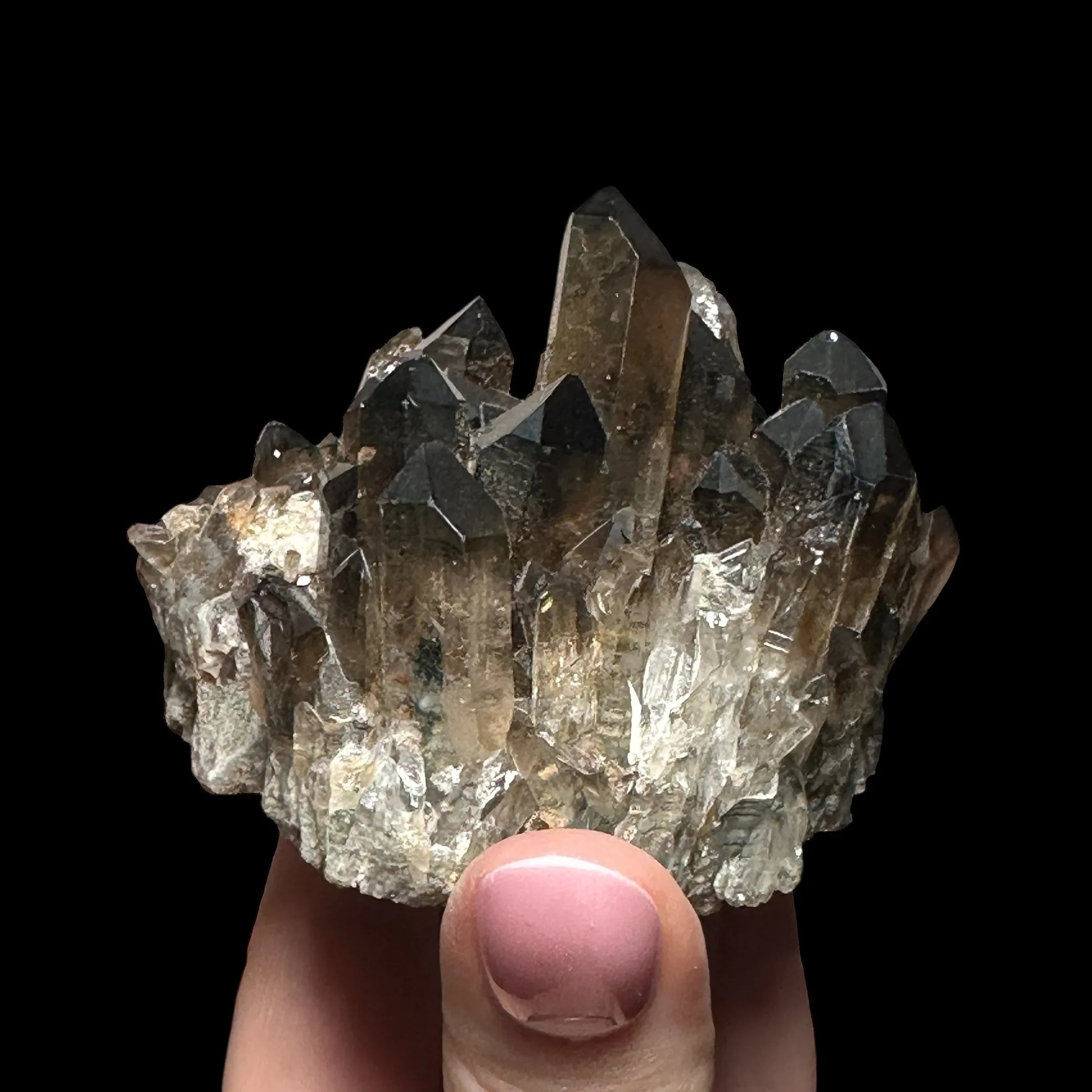 Dark Smoky Quartz Cluster