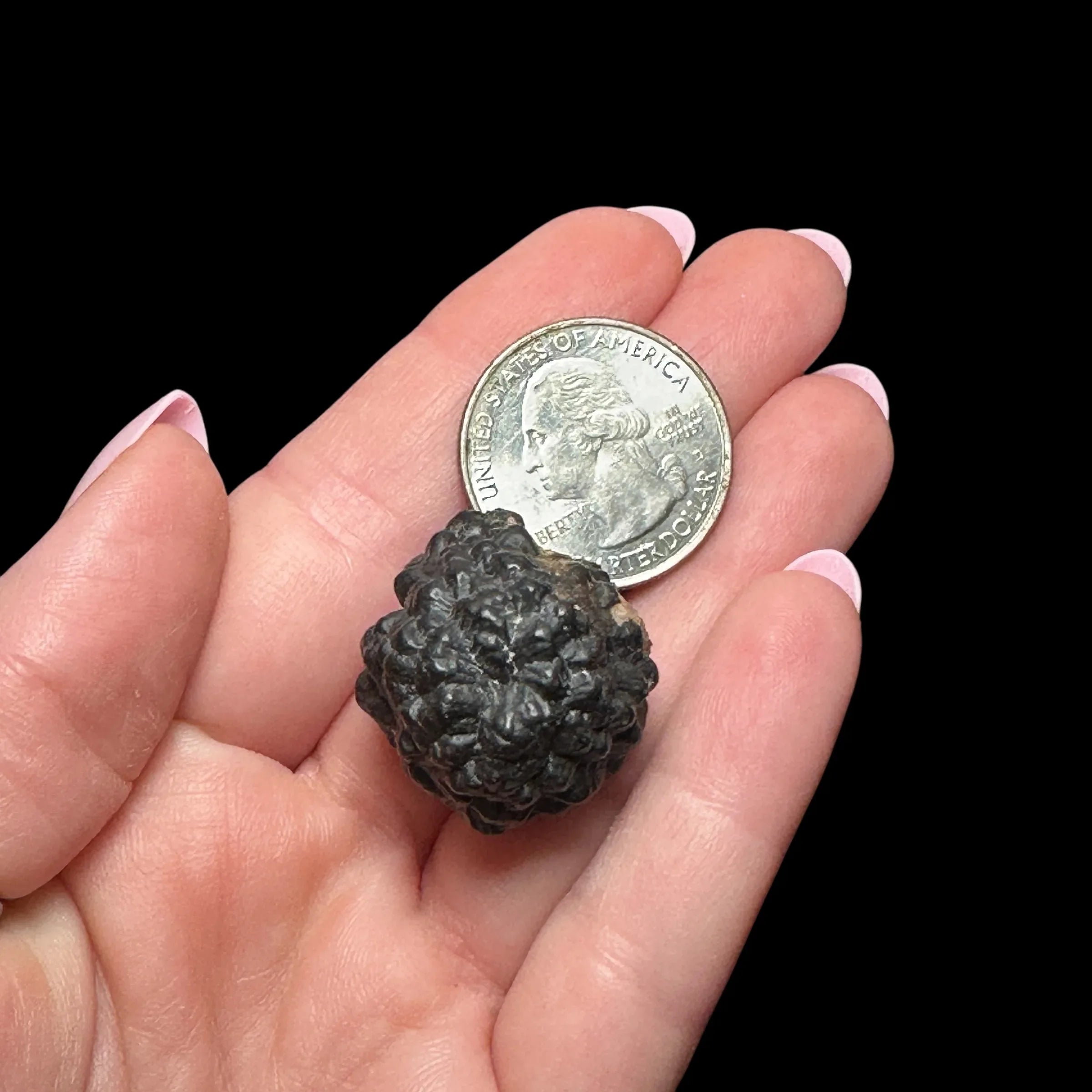 Prophecy Stone - Mooncat Crystals