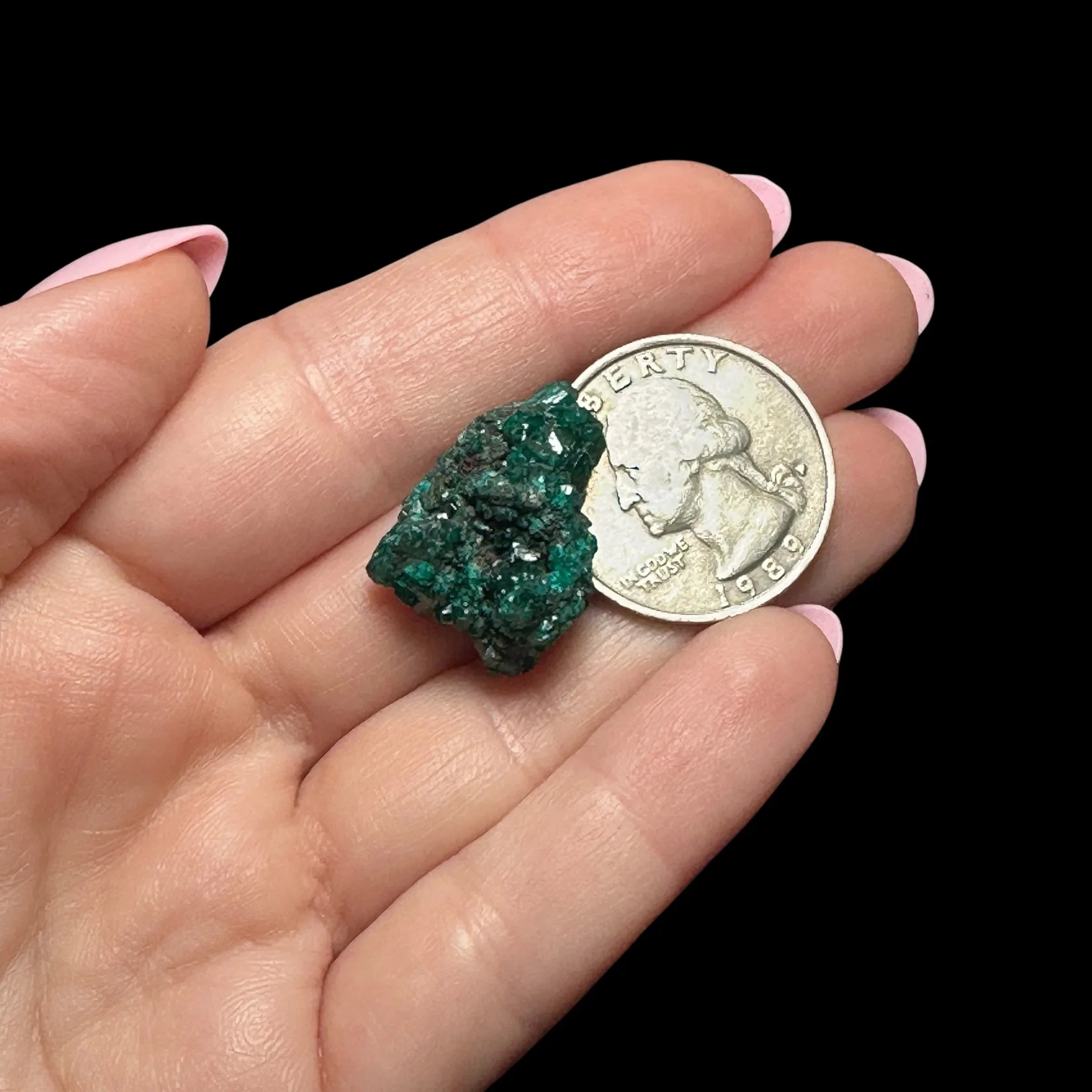 Dioptase | Stock B - Mooncat Crystals
