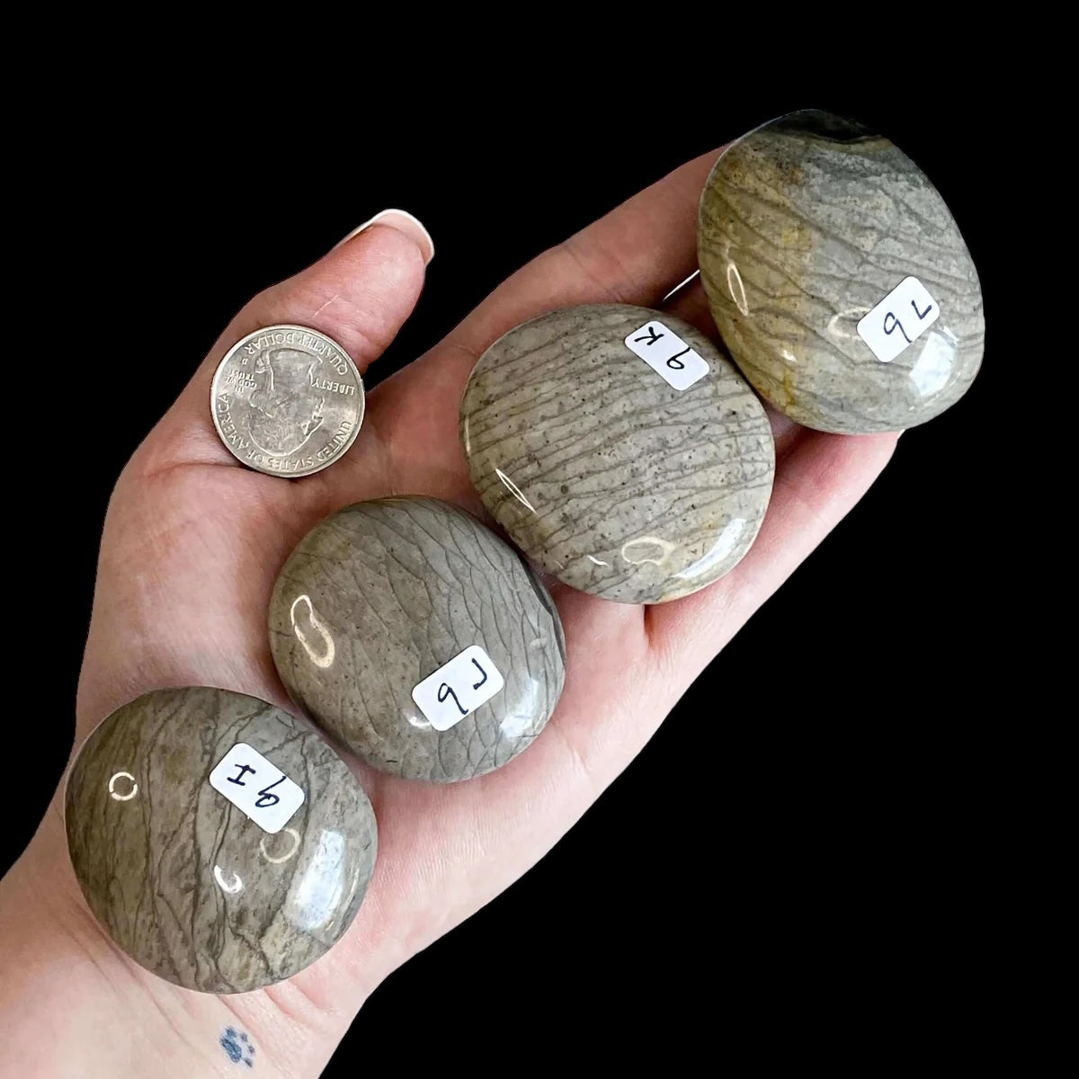 RENEWING + ANCHORING:: Fossil Jasper Palm Stone | You Choose IJKL