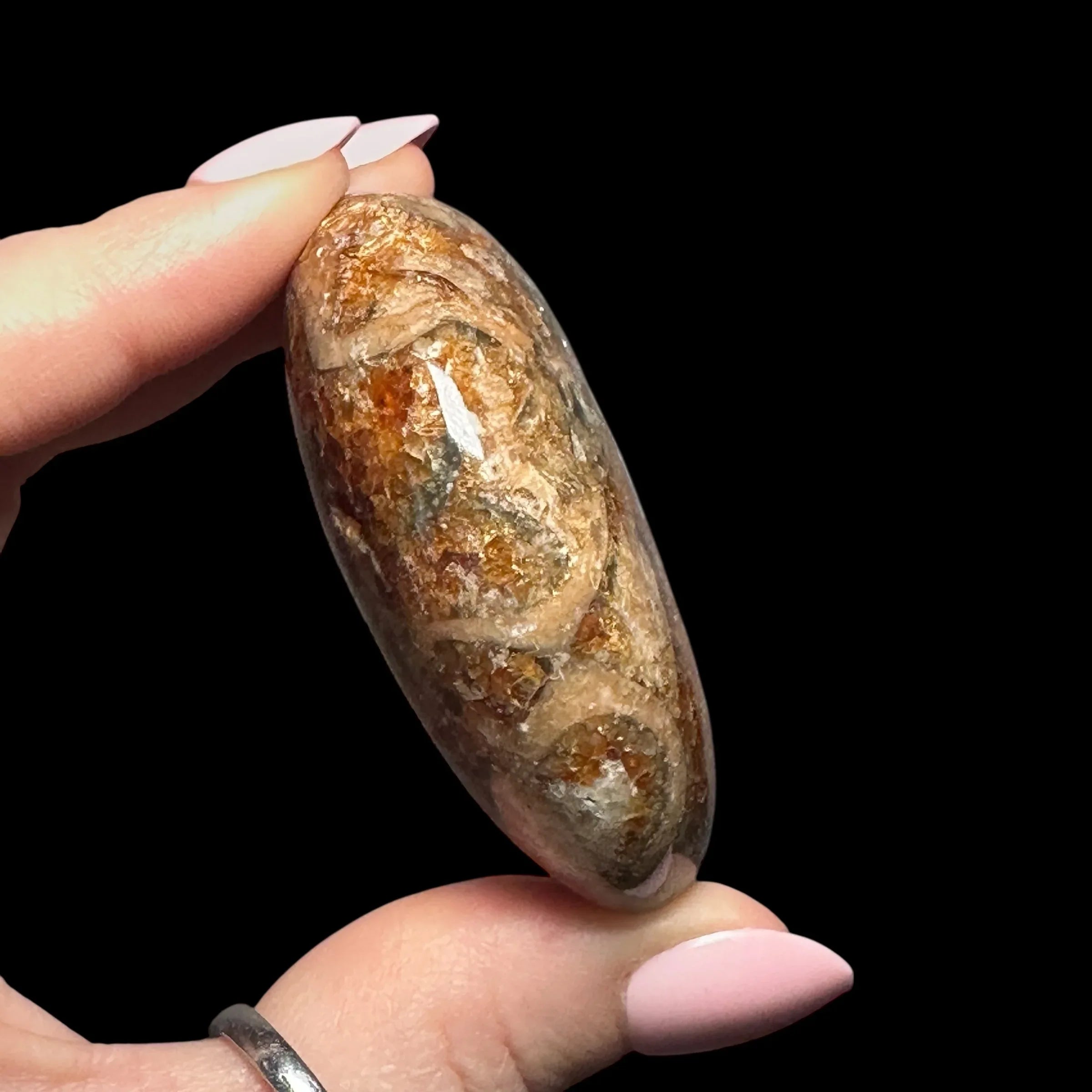 Ammonite Palm Stone | Stock A - Mooncat Crystals