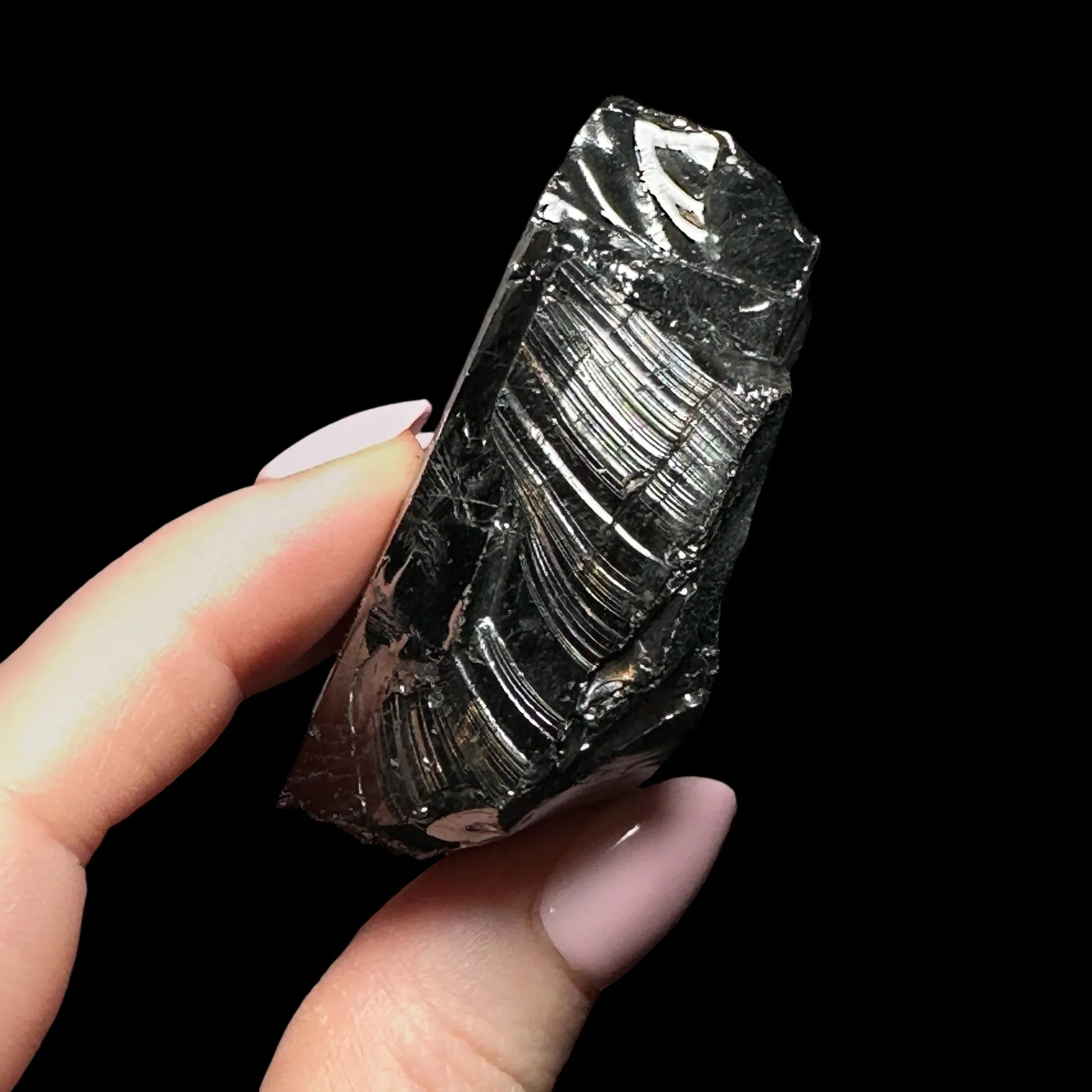 Raw Elite Shungite - Mooncat Crystals
