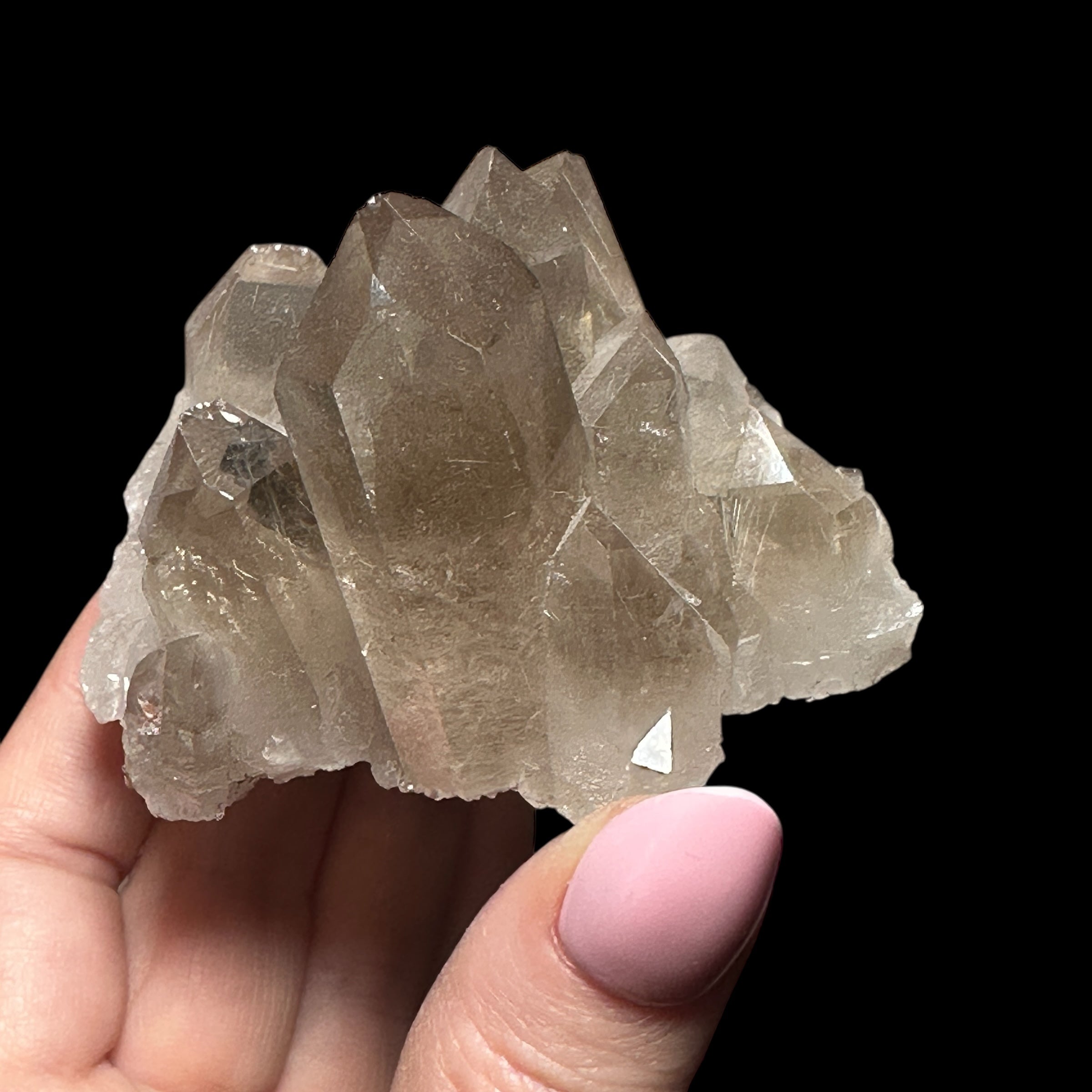 Smoky Rutilated Quartz Cluster