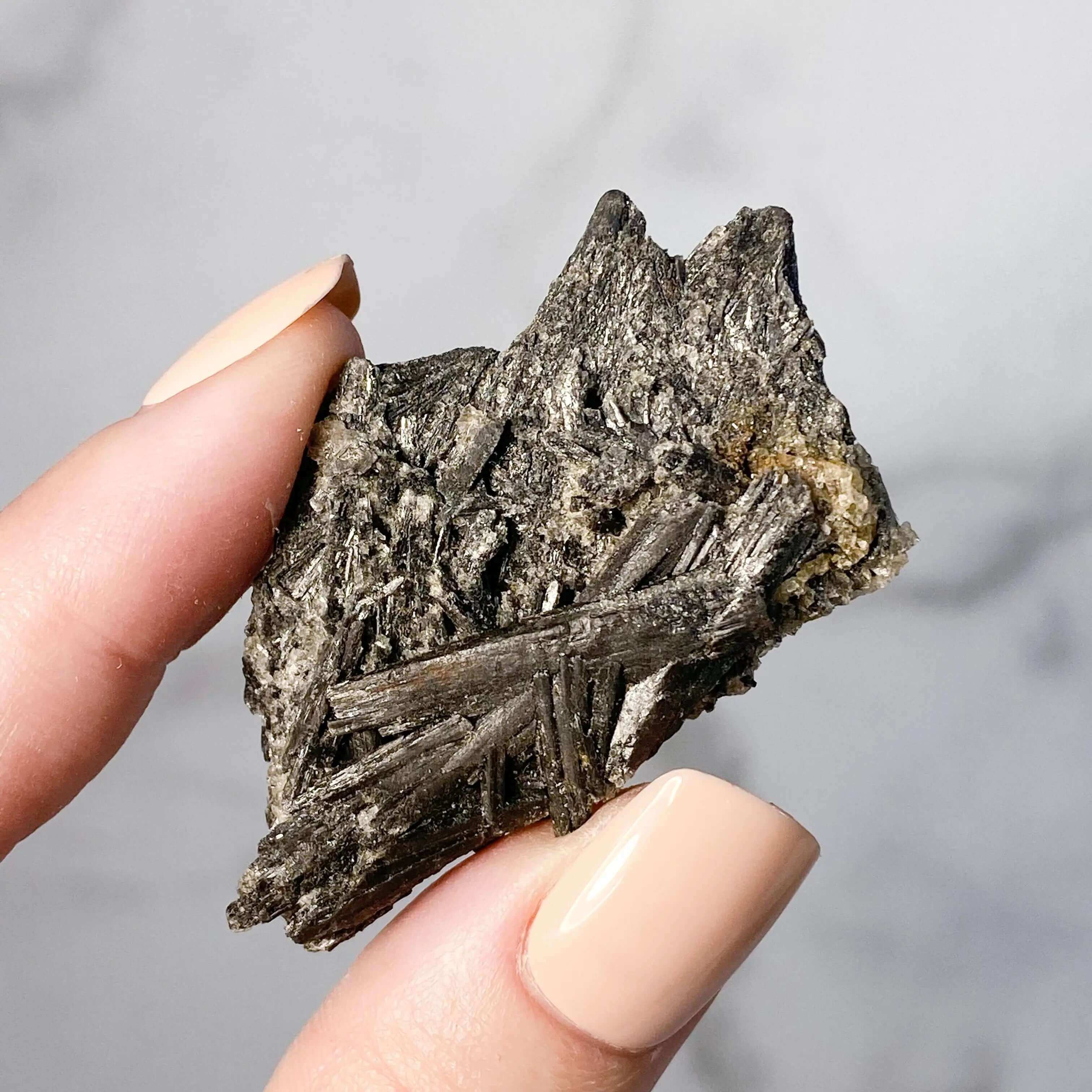 Black Kyanite Fan | Large Mooncat Crystals