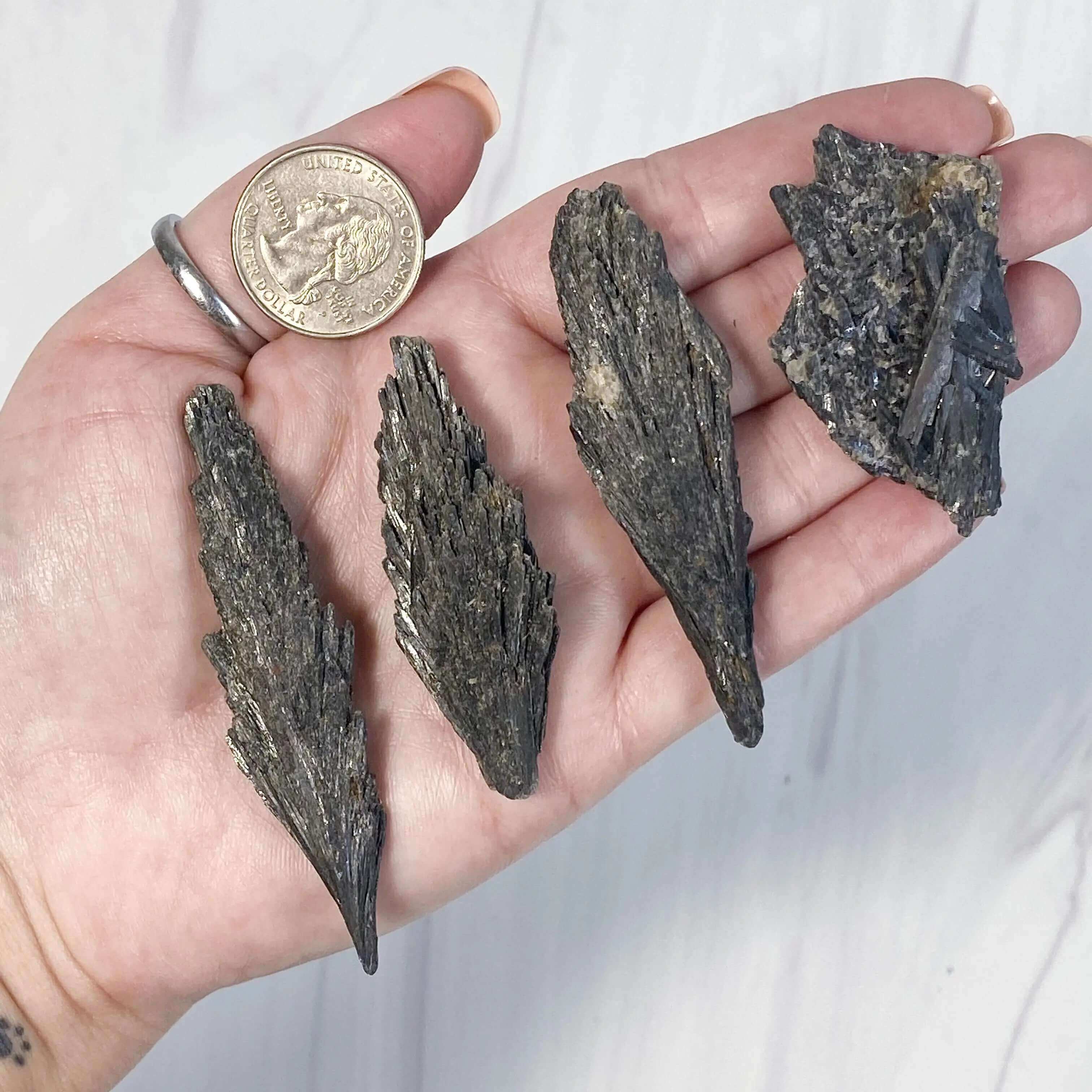 Black Kyanite Fan | Large Mooncat Crystals