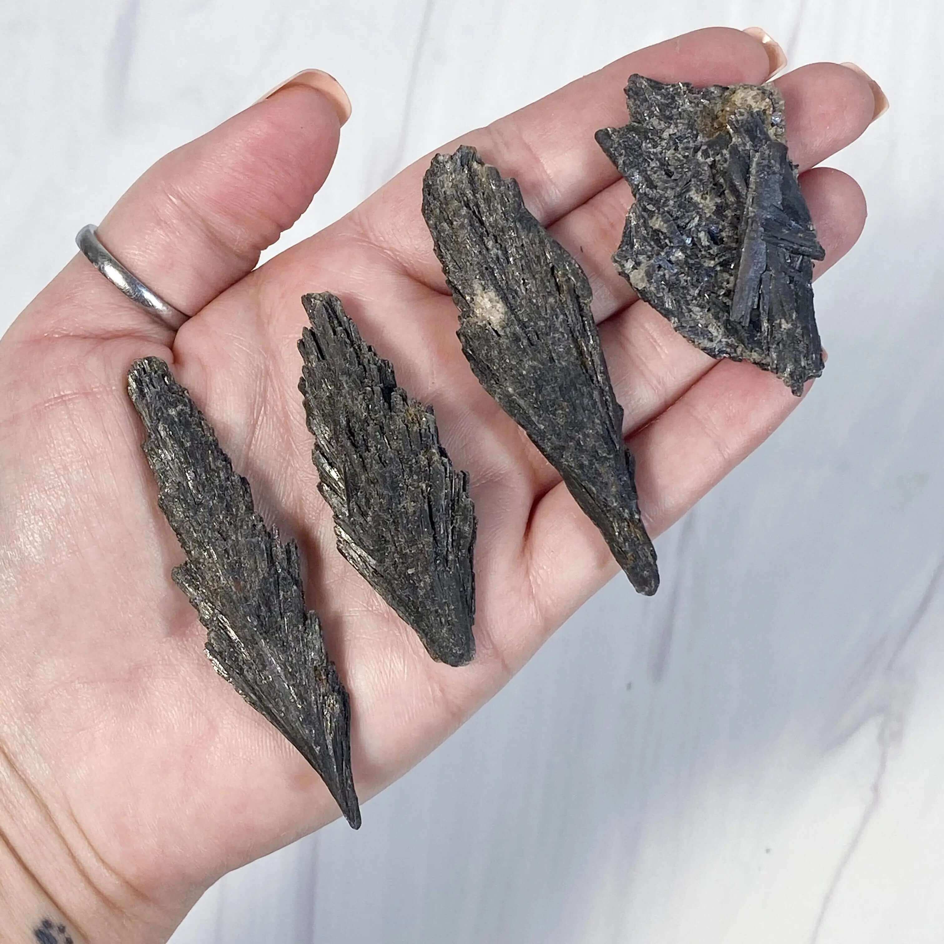 Black Kyanite Fan | Large Mooncat Crystals