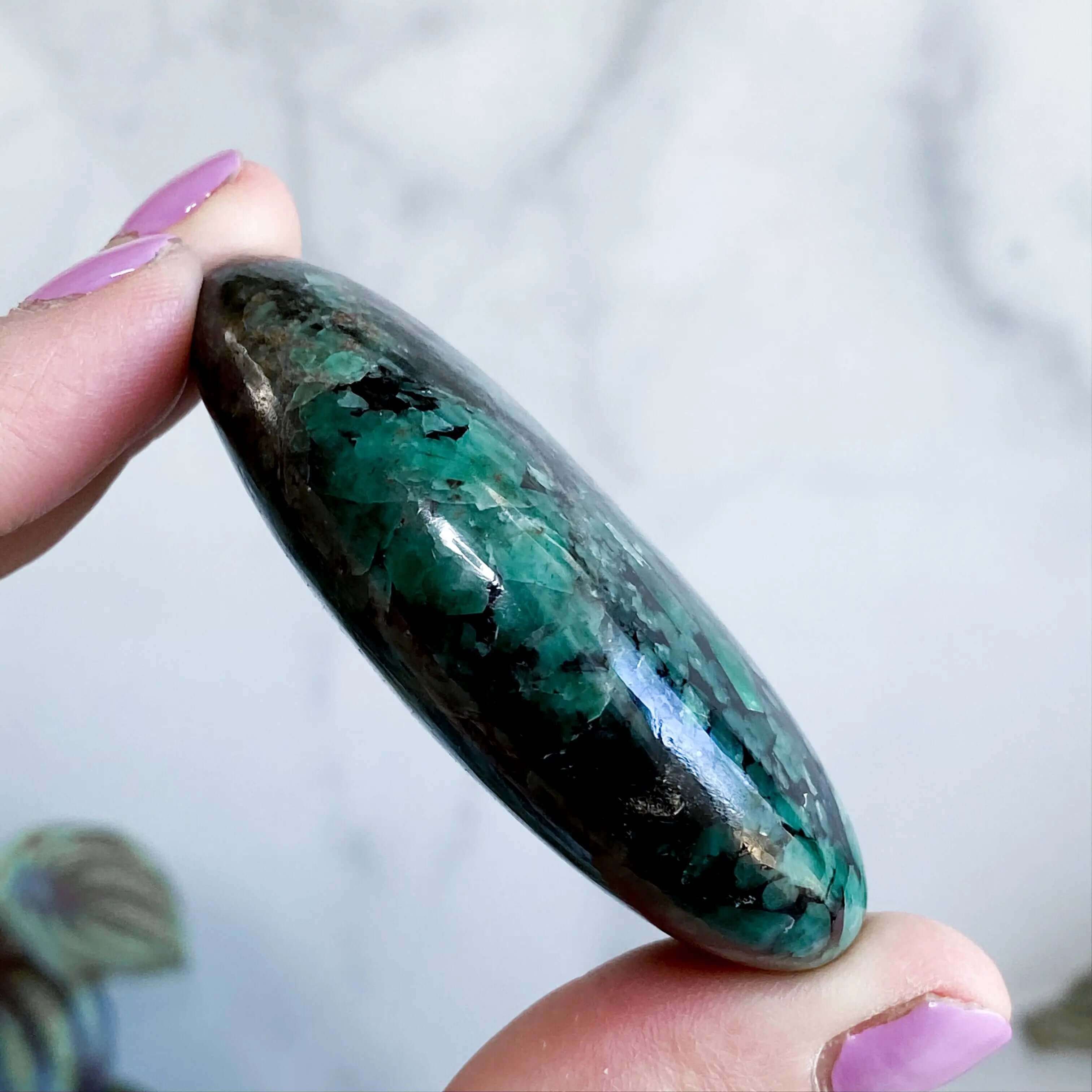 Emerald Palm Stone | Stock B Mooncat Crystals