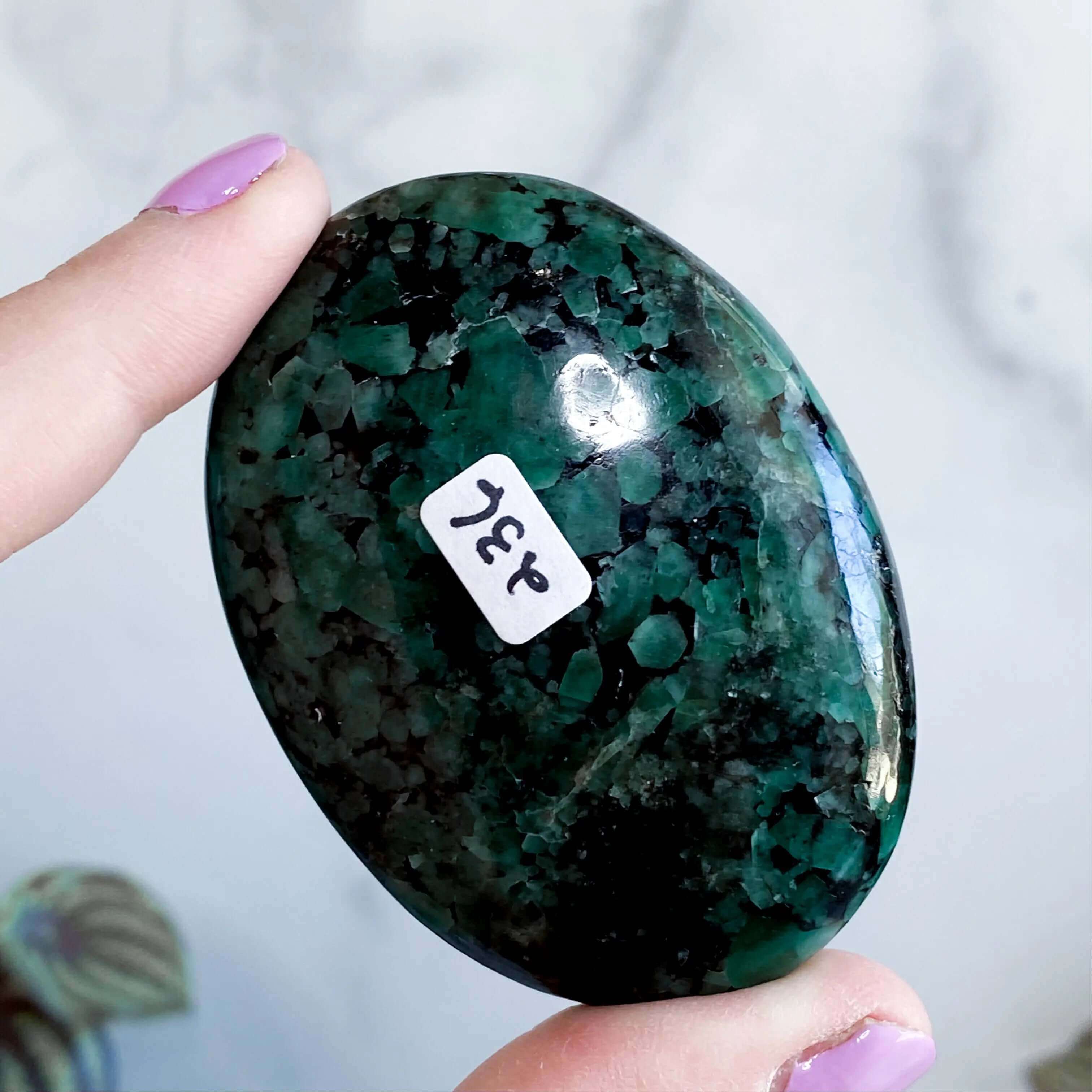 Emerald Palm Stone | Stock B Mooncat Crystals