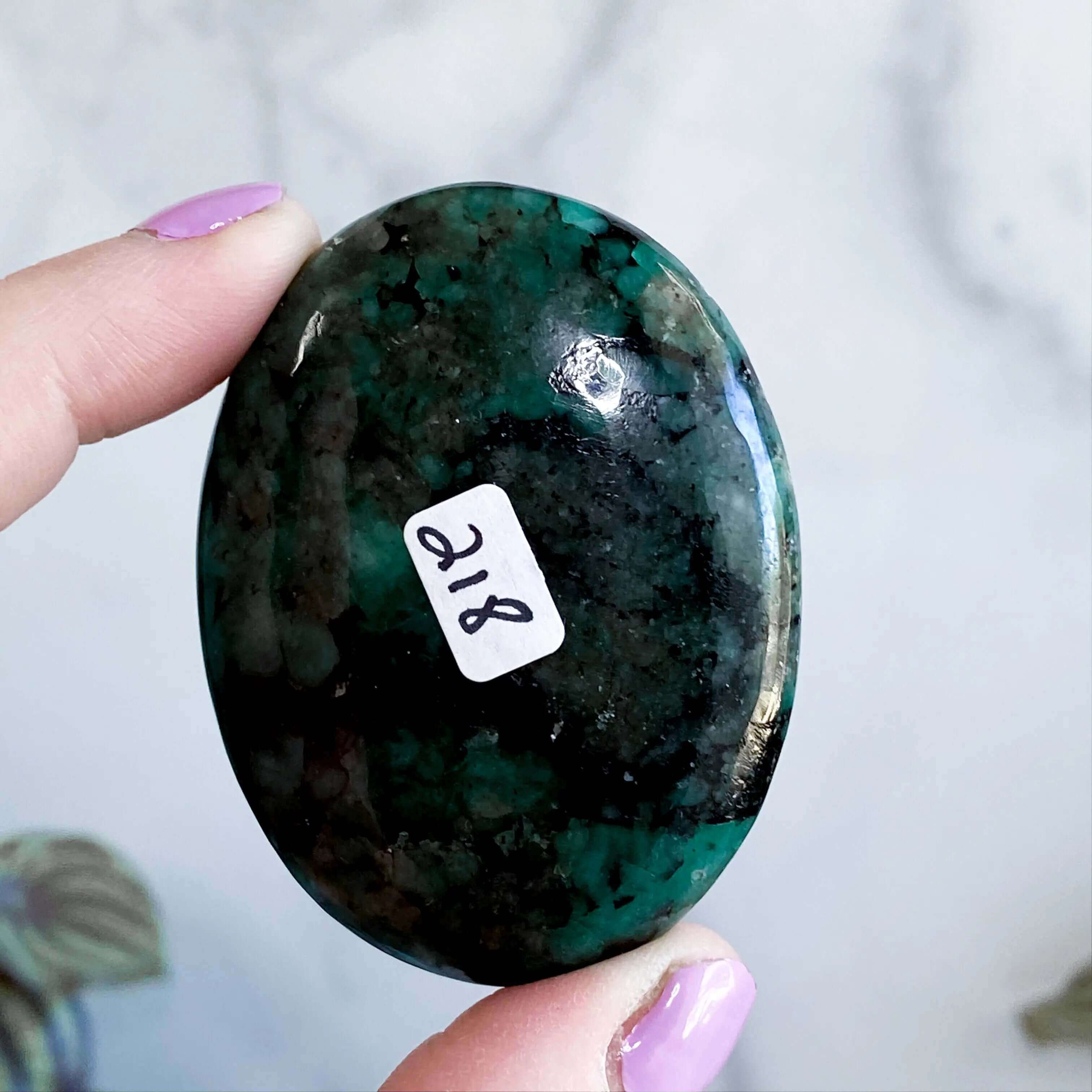 Emerald Palm Stone | Stock C Mooncat Crystals