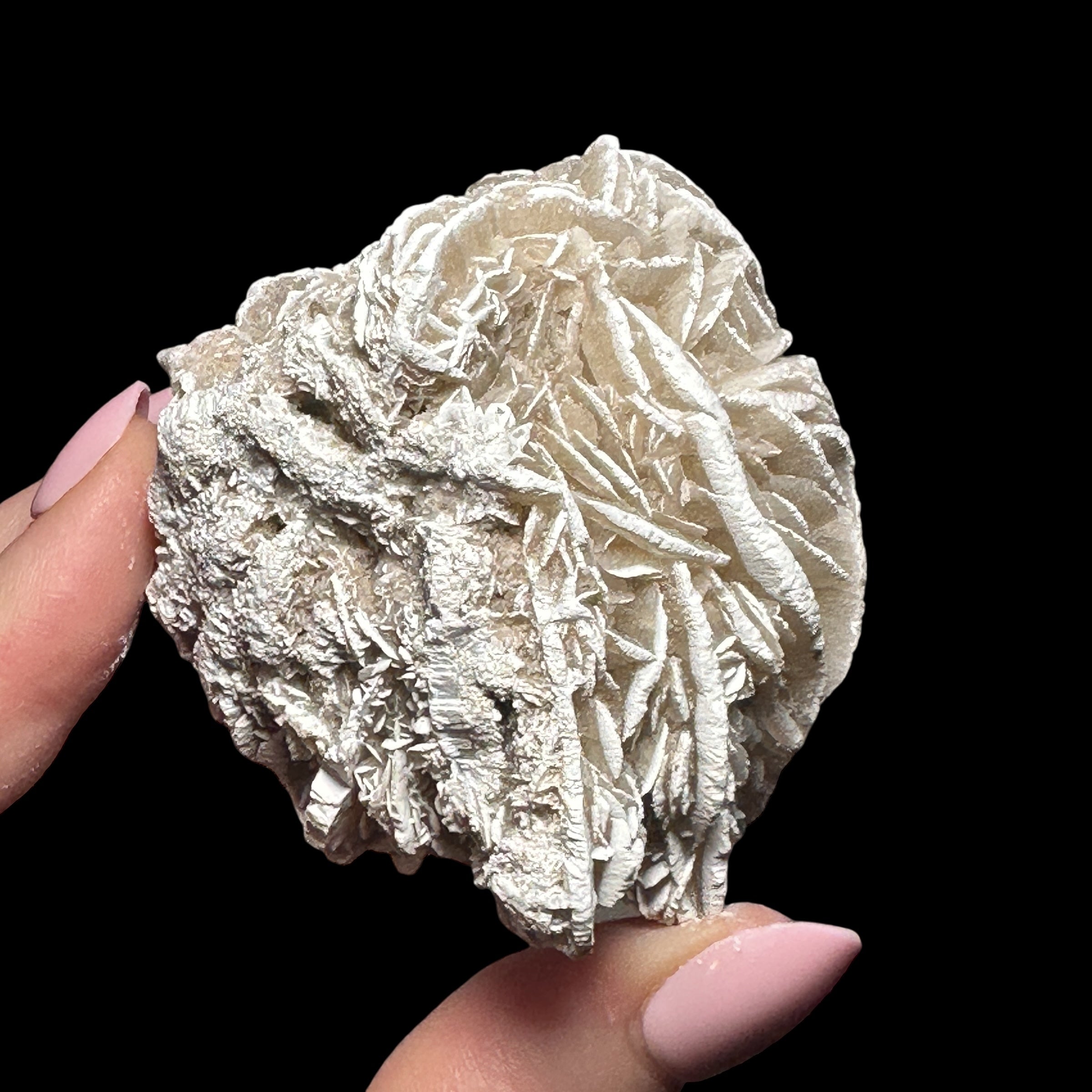 Desert Rose Selenite | Stock B