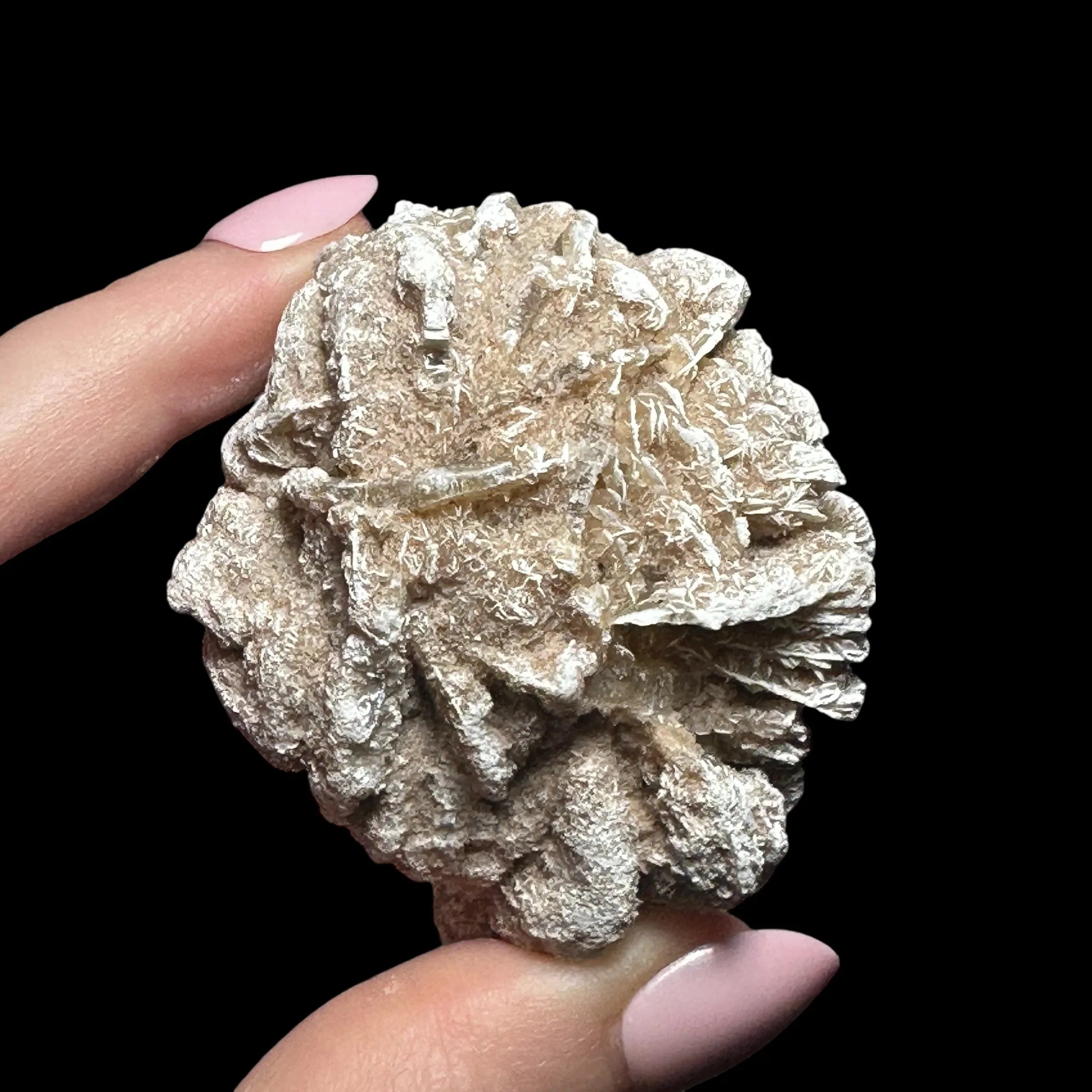 Desert Rose Selenite | Stock A - Mooncat Crystals