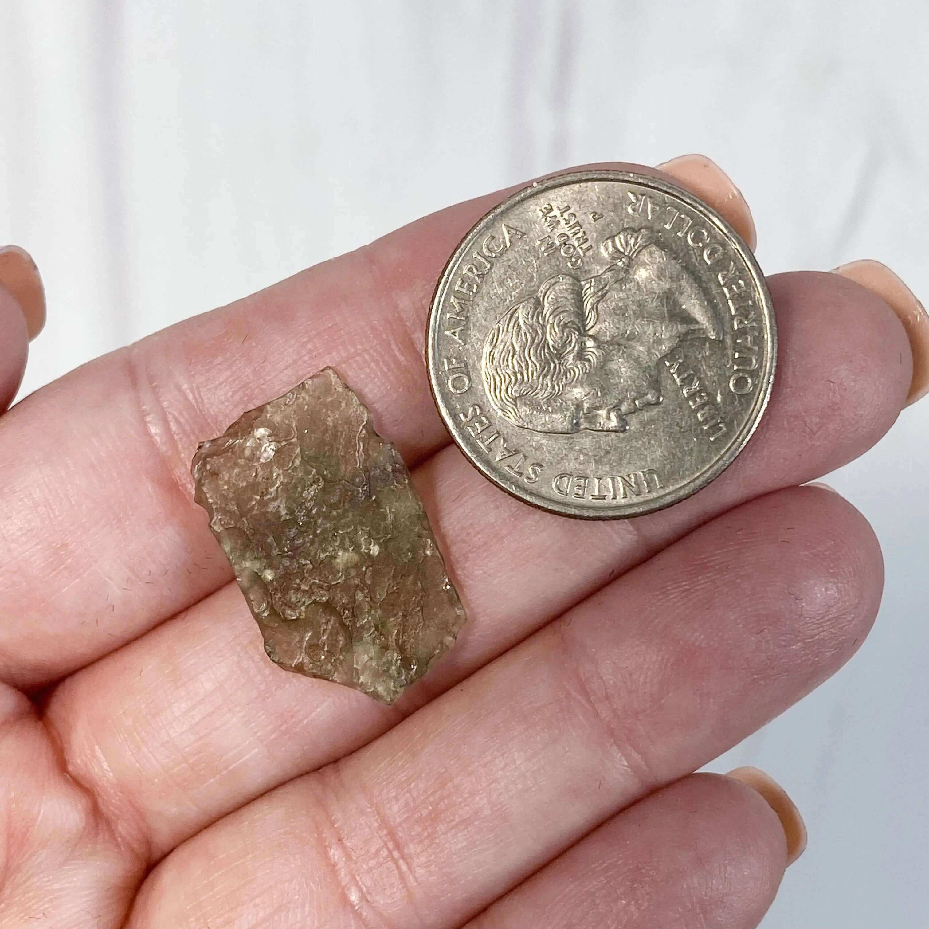 Genuine Moldavite | Stock Y Mooncat Crystals