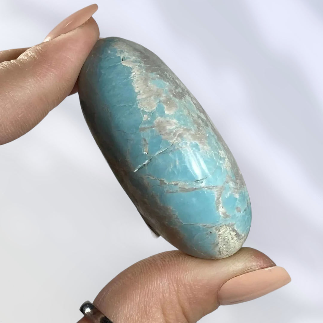 Madagascan Turquoise Palm Stone | Stock V