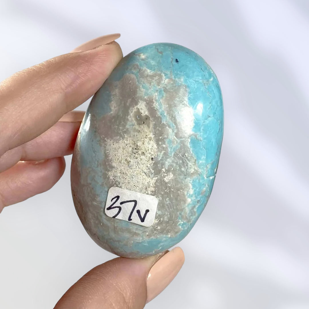 Madagascan Turquoise Palm Stone | Stock V