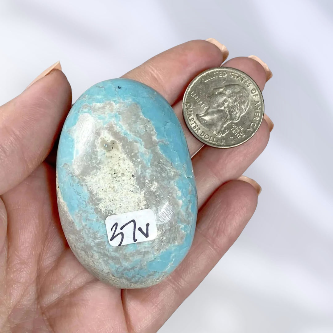 Madagascan Turquoise Palm Stone | Stock V