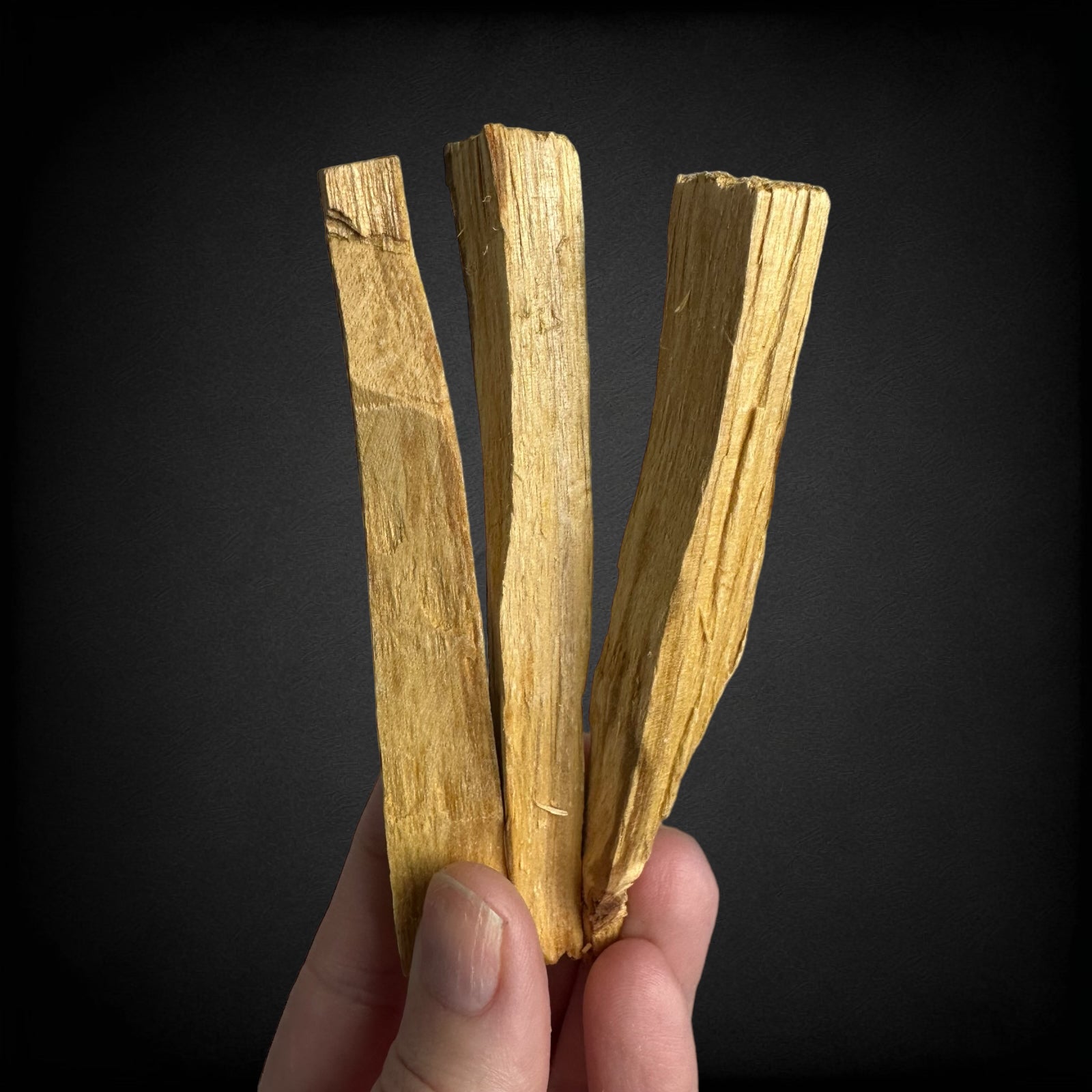 Sustainably Harvested Palo Santo | 3 Sticks