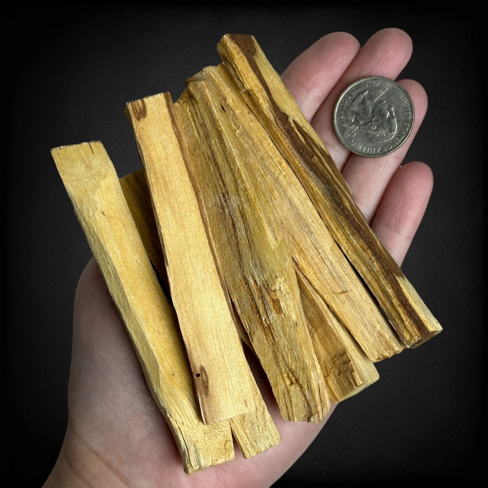 Sustainably Harvested Palo Santo | 3 Sticks