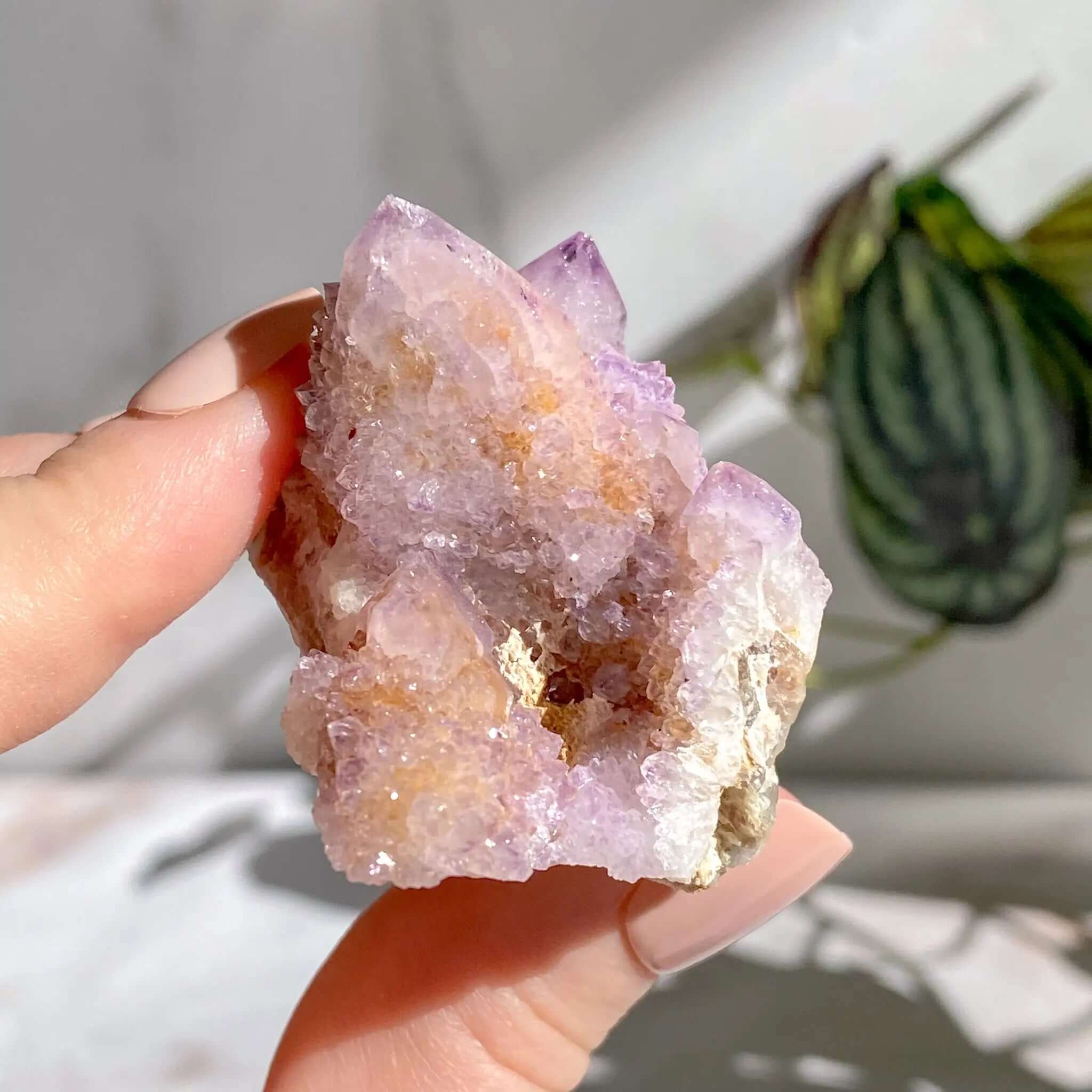 Spirit Quartz | Stock S Mooncat Crystals