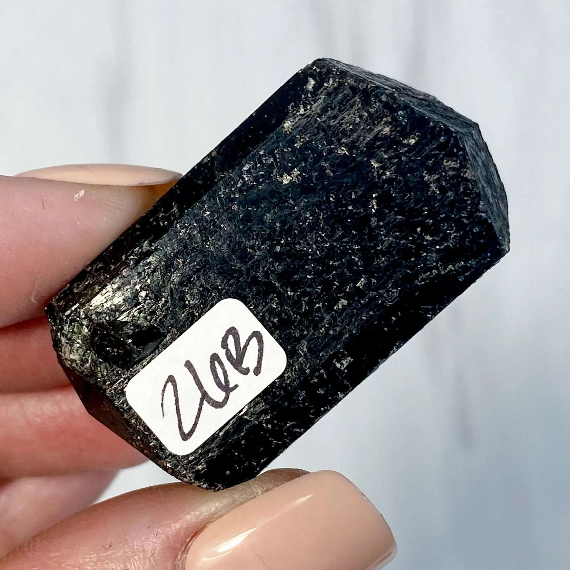 Terminated Black Tourmaline | Stock B Mooncat Crystals