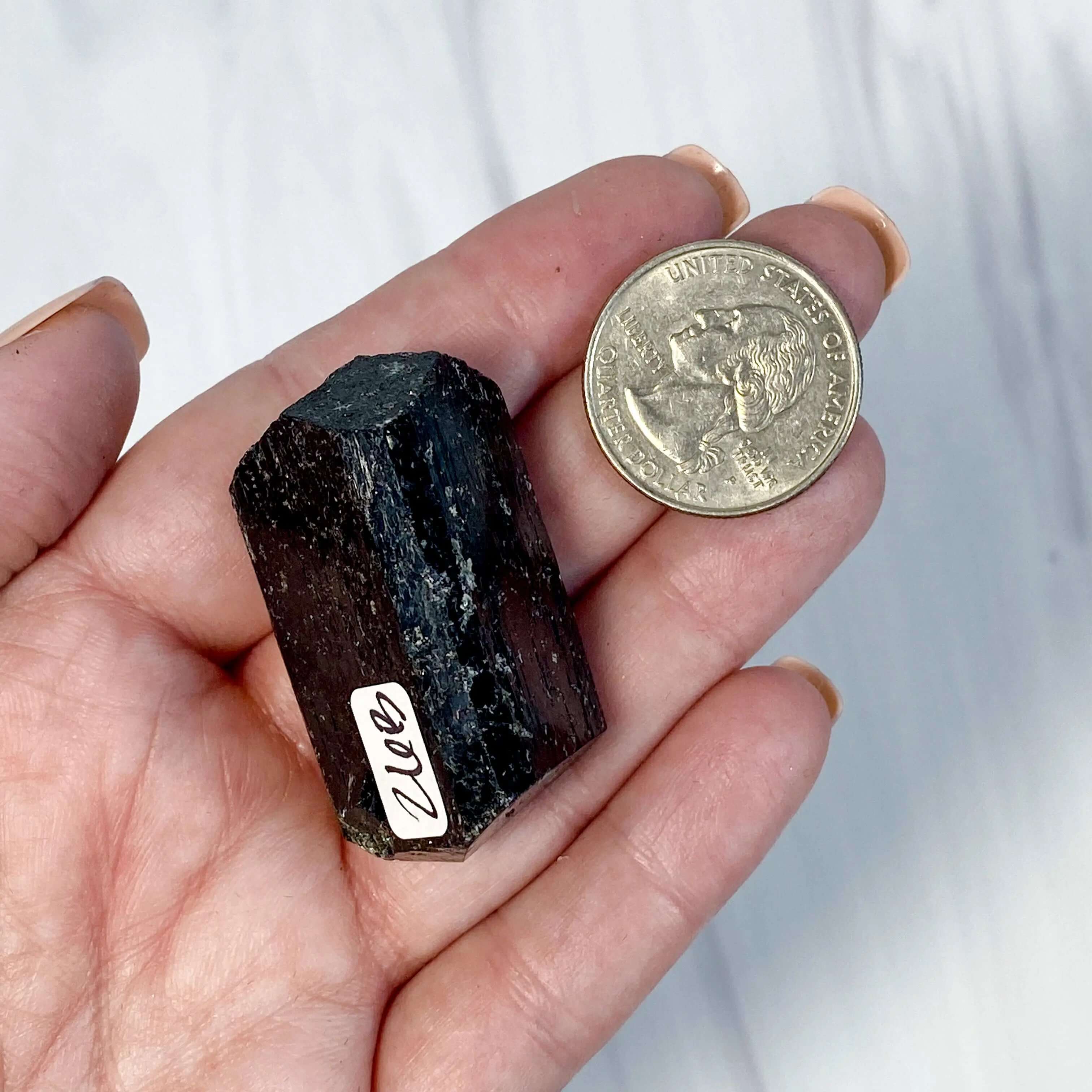 Terminated Black Tourmaline | Stock B Mooncat Crystals