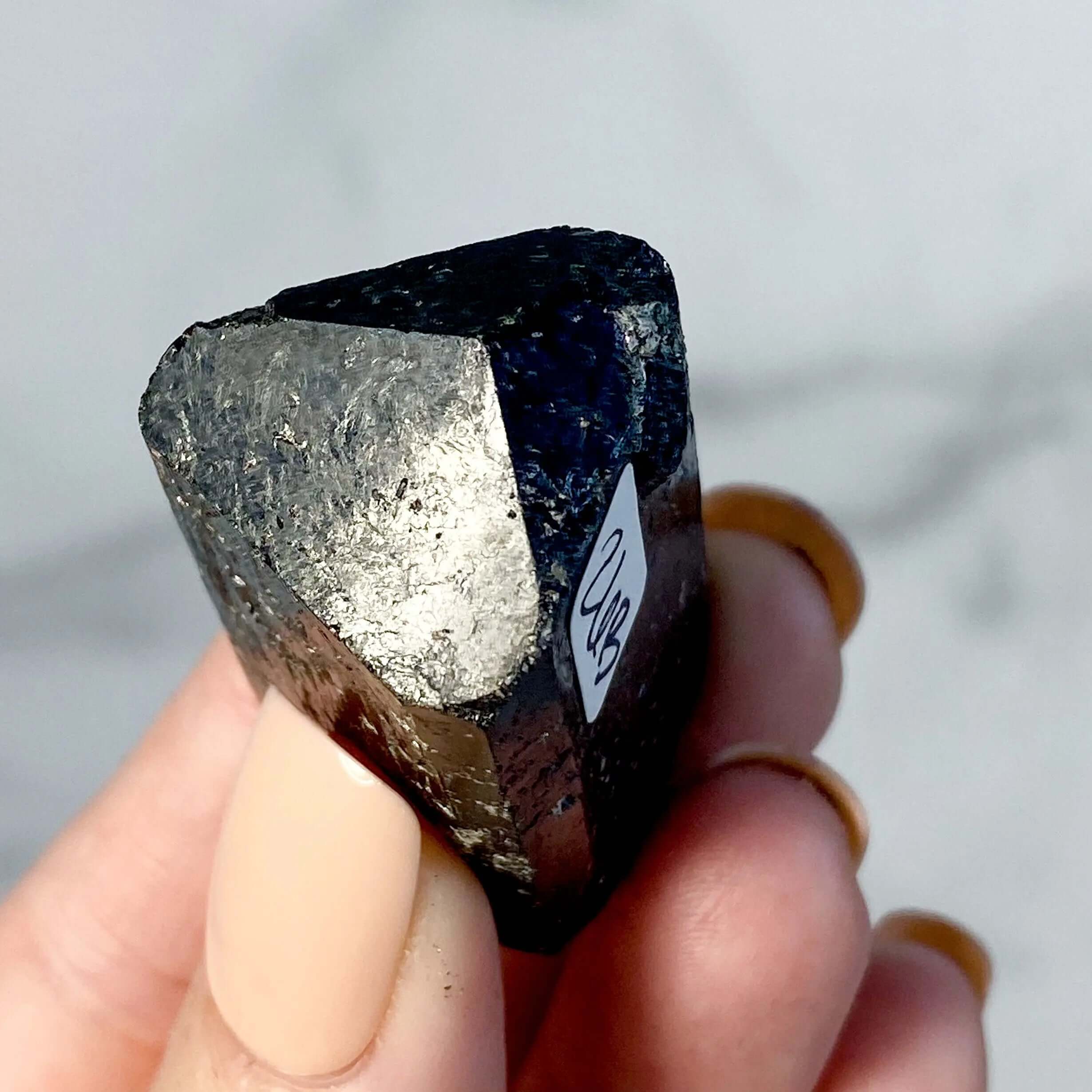 Terminated Black Tourmaline | Stock B Mooncat Crystals