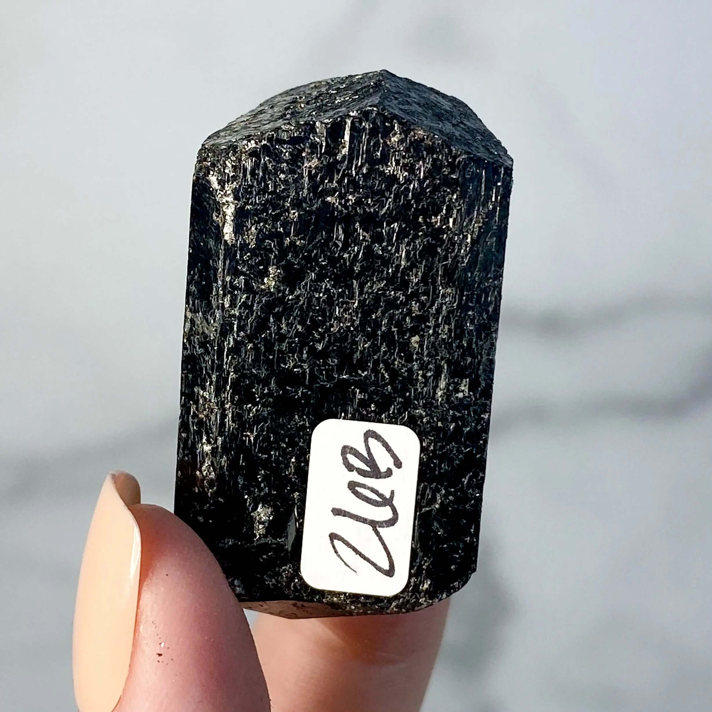 Terminated Black Tourmaline | Stock B Mooncat Crystals