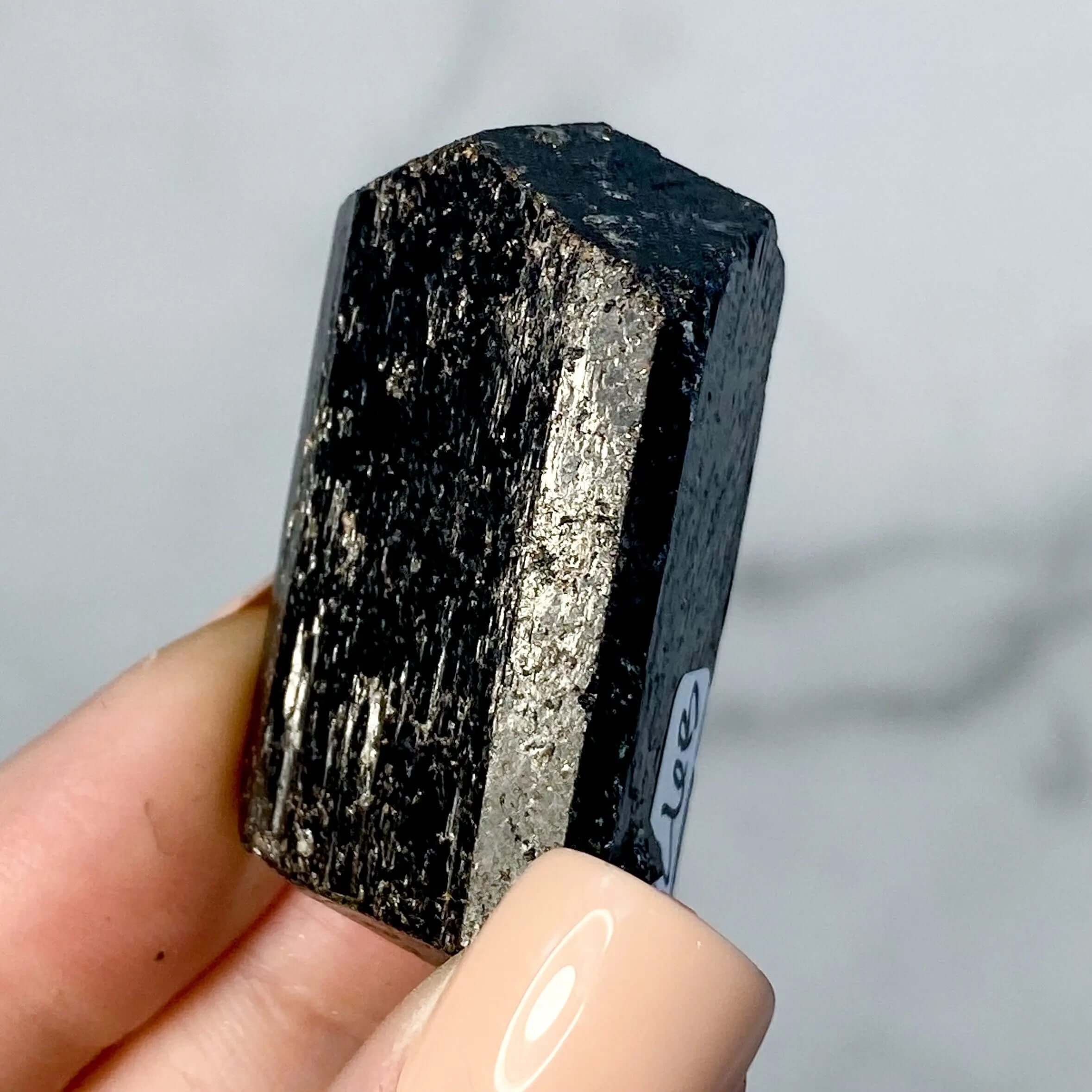 Terminated Black Tourmaline | Stock B Mooncat Crystals