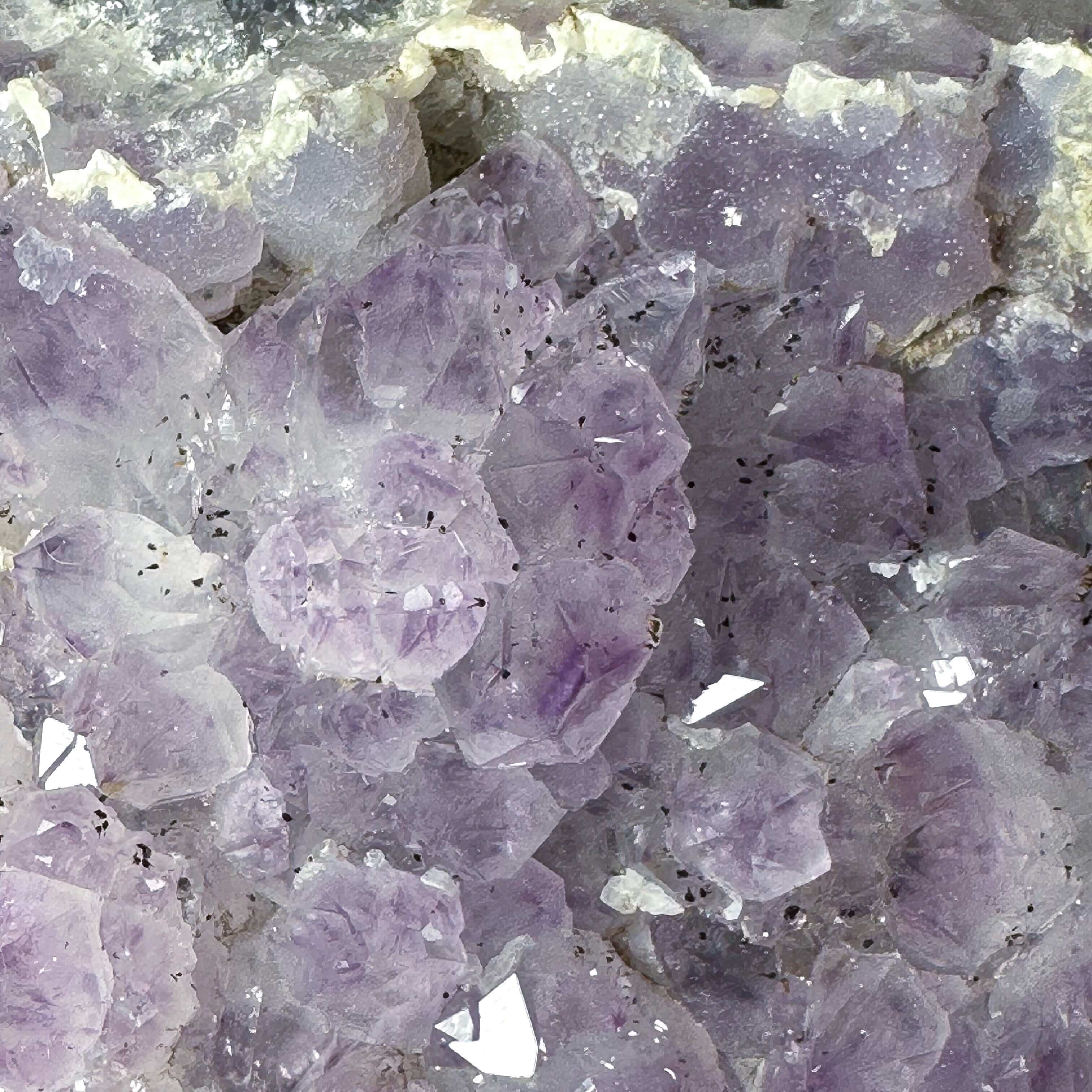 Amethyst Cluster | Stock A1 - Mooncat Crystals