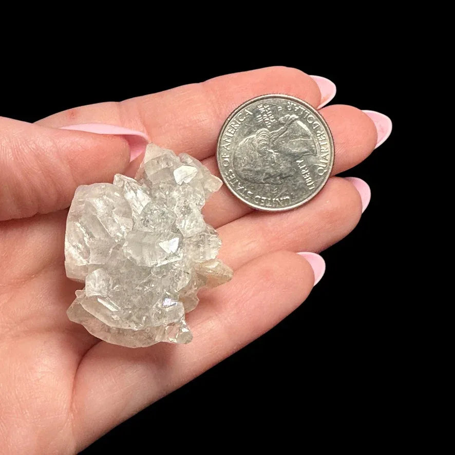 Apophyllite | Stock A - Mooncat Crystals